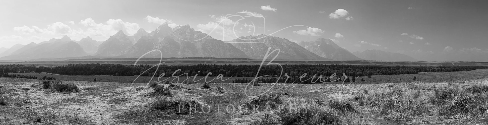 The Grand Tetons