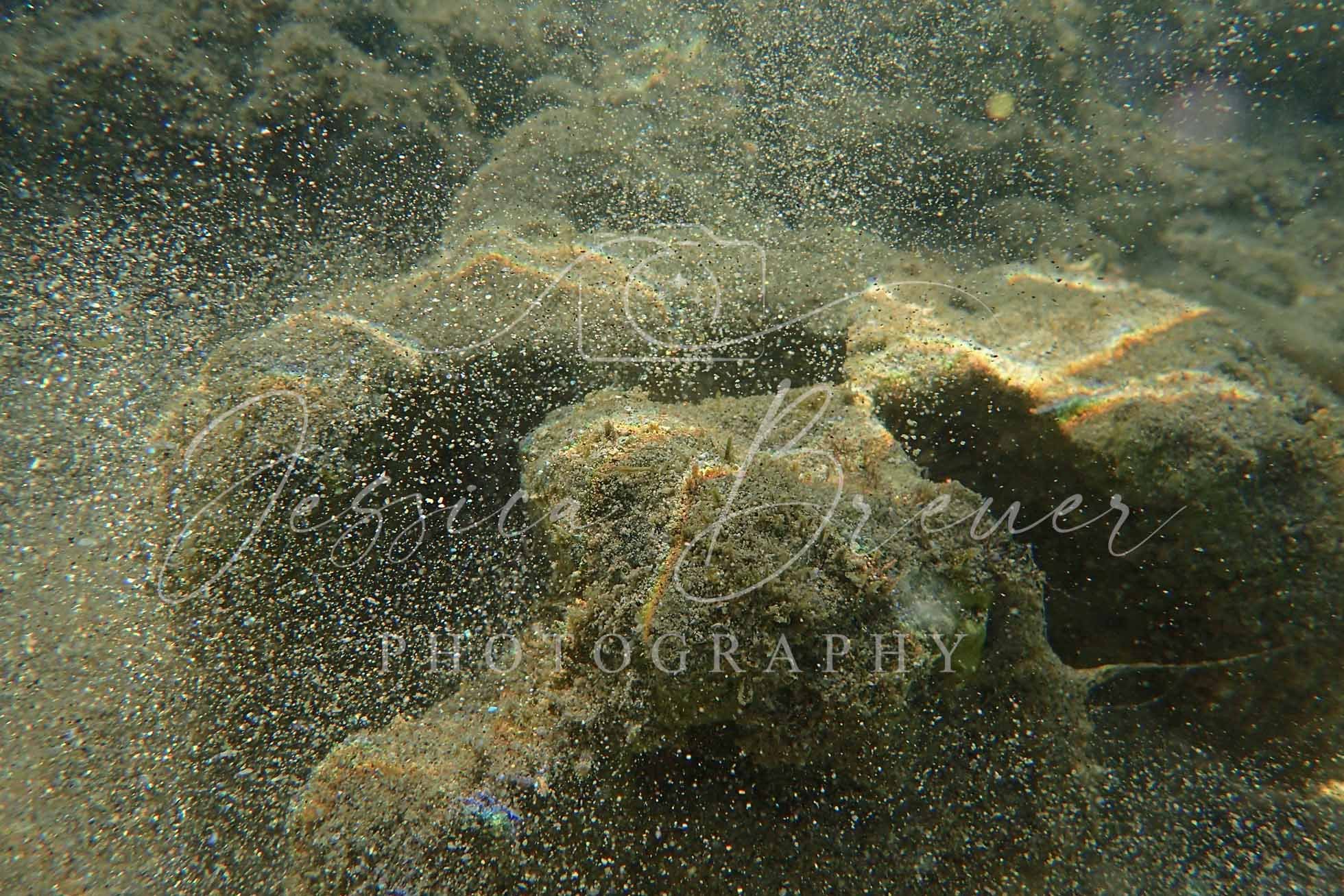 Hanauma Bay