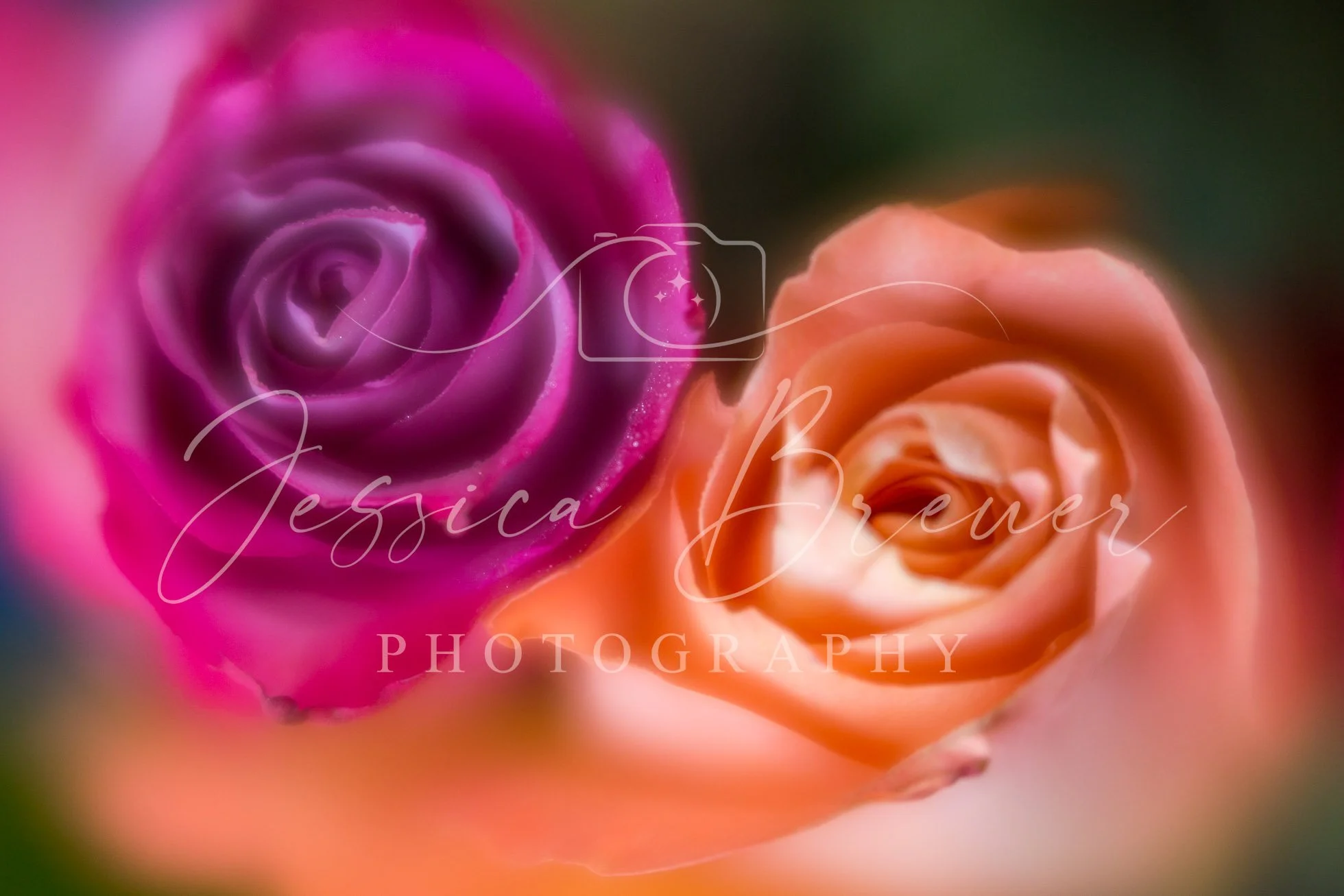 Soft Beauty