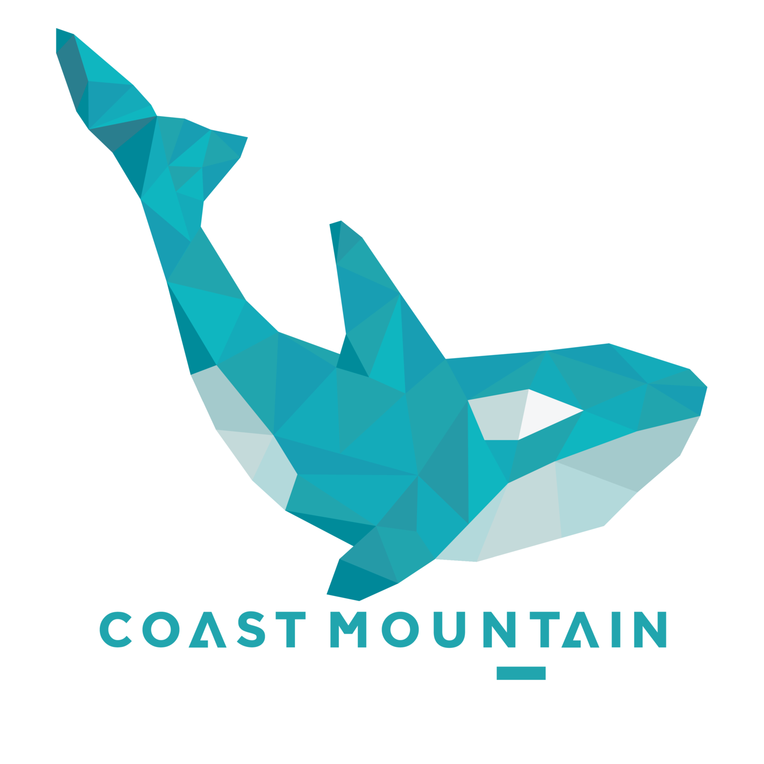 Coast Mountain Crossfit