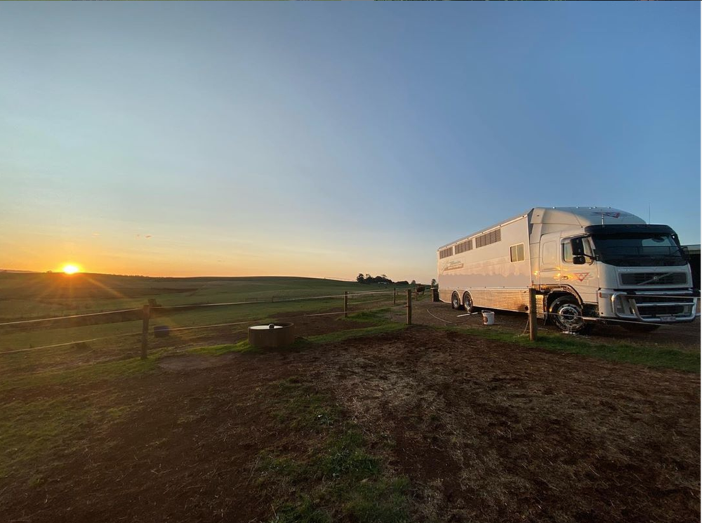 Our Transport — Tasmanian Horse Transport