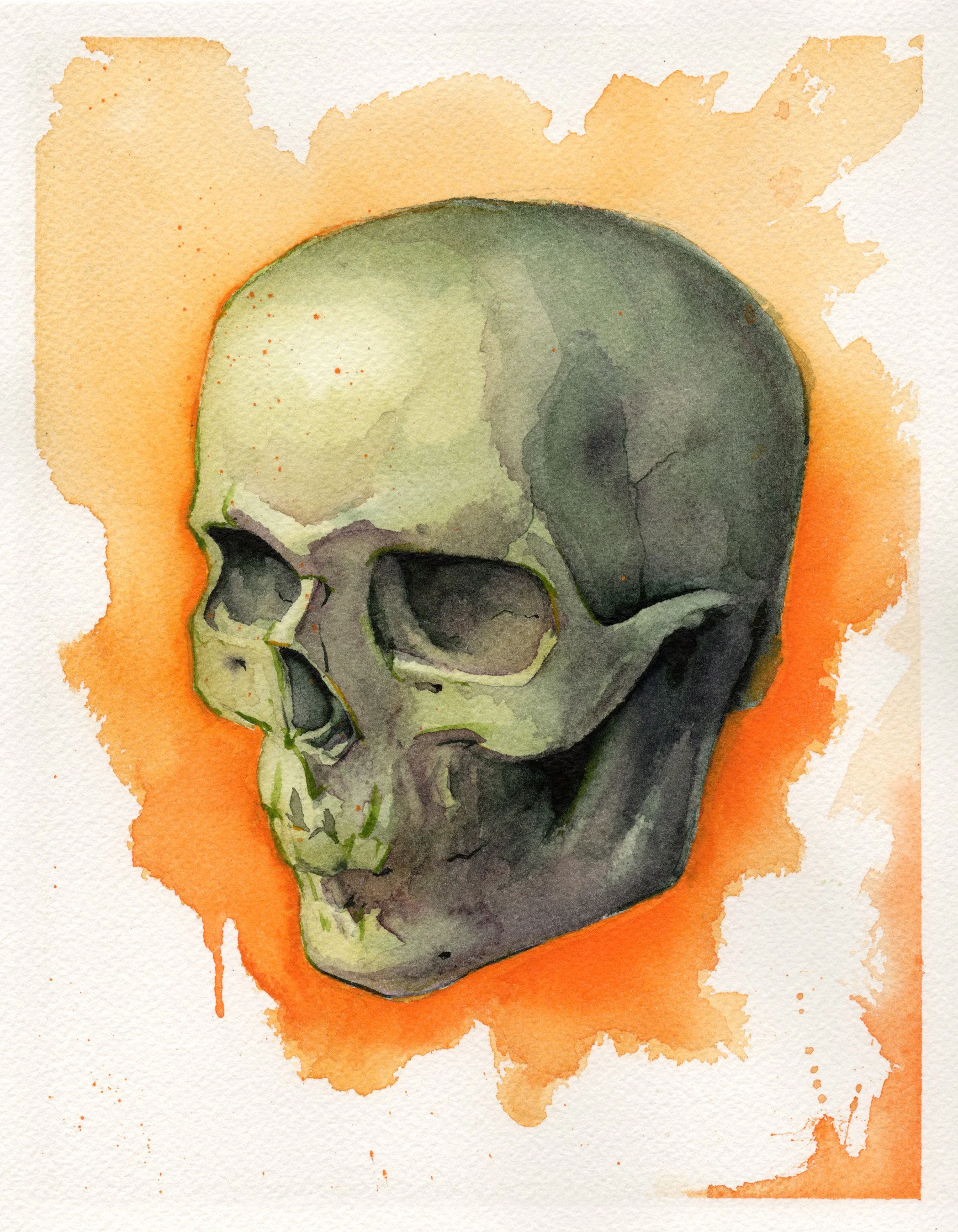 Boz Skull Study Orange.jpg