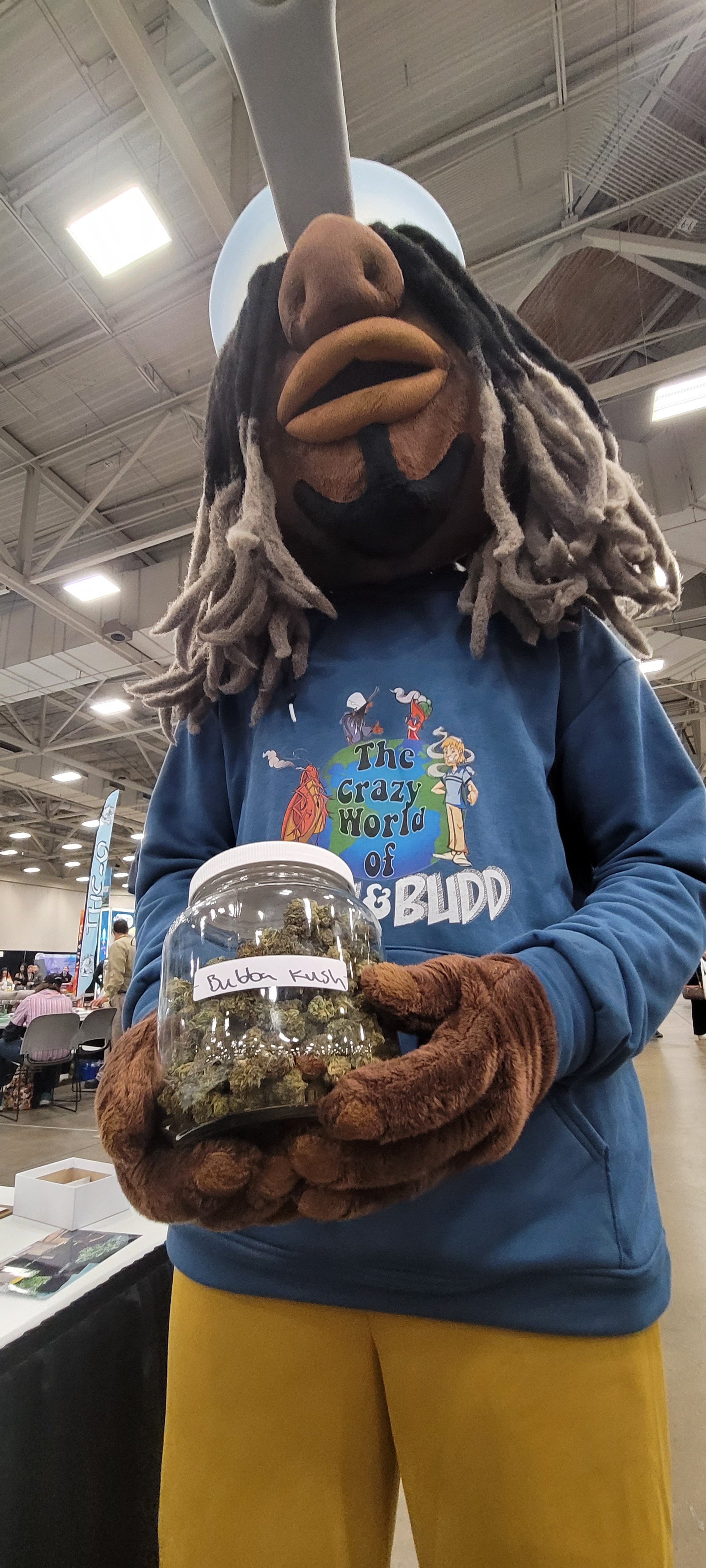 F.Y.HiGH with PotHead (Learning about Cannabis)