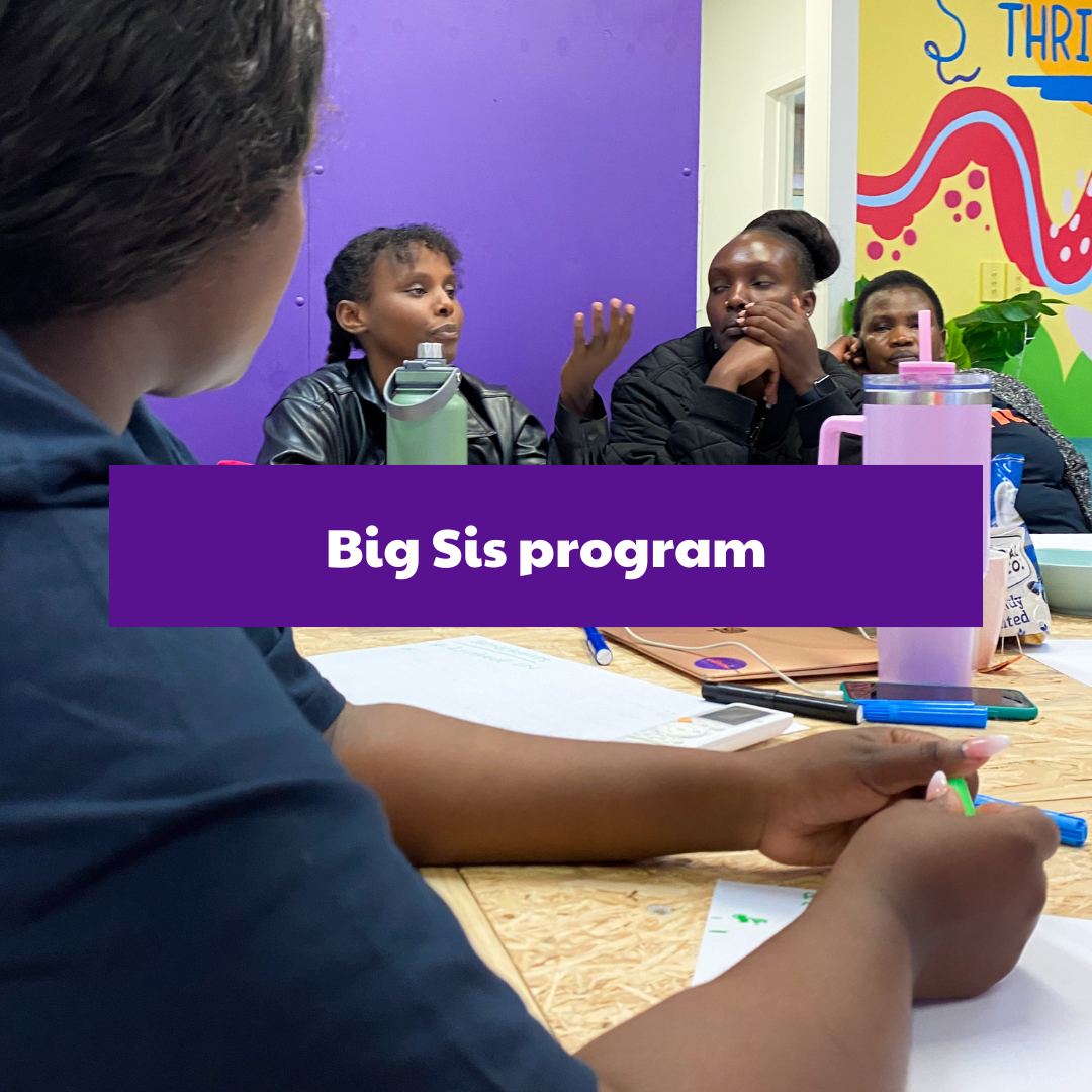 Learn about the Big Sis program