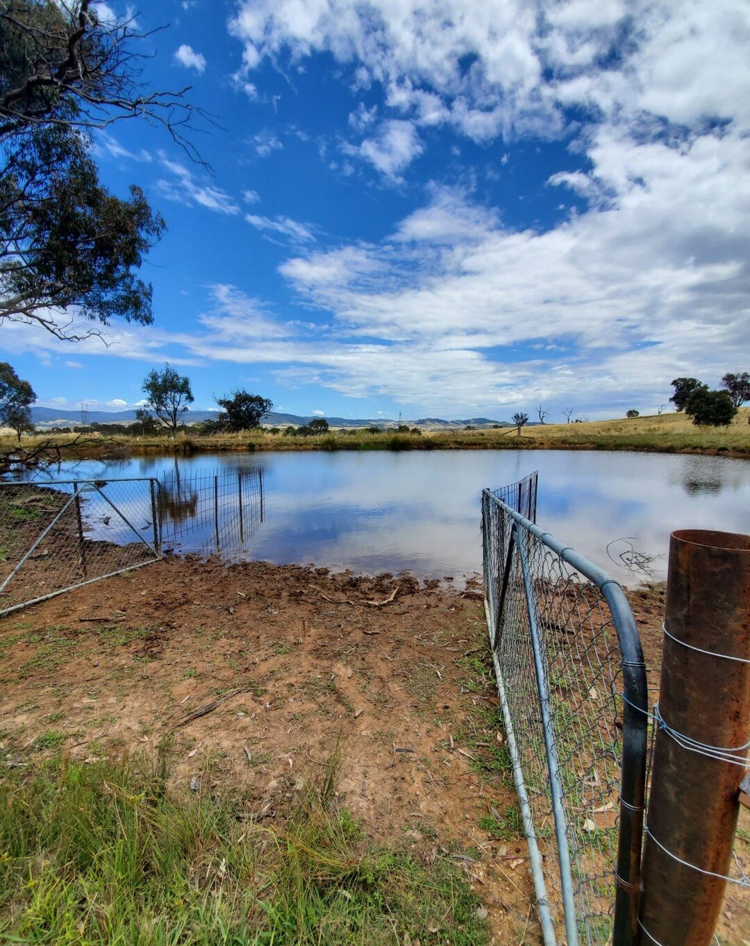 Here are some photo updates of the dam restoration works we have been working on! 

We have added a hardened access point so that cattle may access the water from the dam without impacting infringing and riparian vegetation. 

We are currently triali