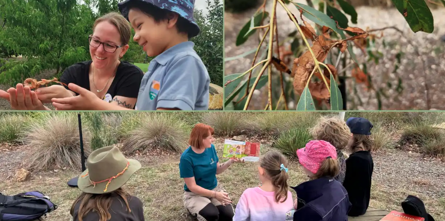 Curious Kids: Insect Play and Art