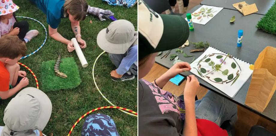 Curious Kids: Reptile Play and Art