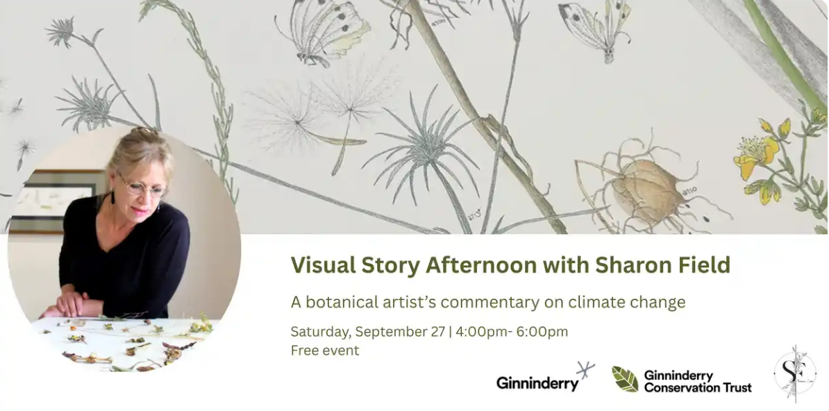 Visual Story Afternoon with Botanical Artist Sharon Field