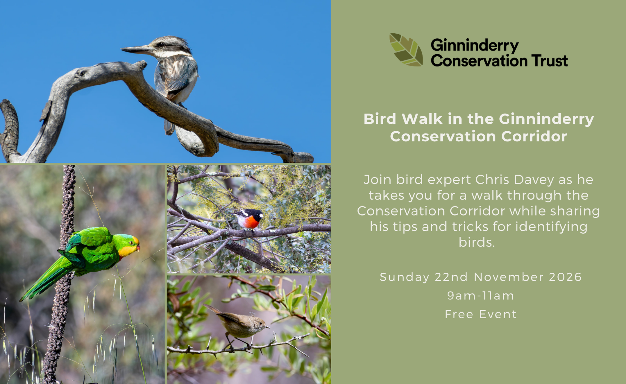 Bird Walk with Chris Davey