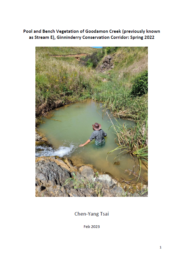 Pool and bench vegetation of Goodman Creek Spring 2022.png