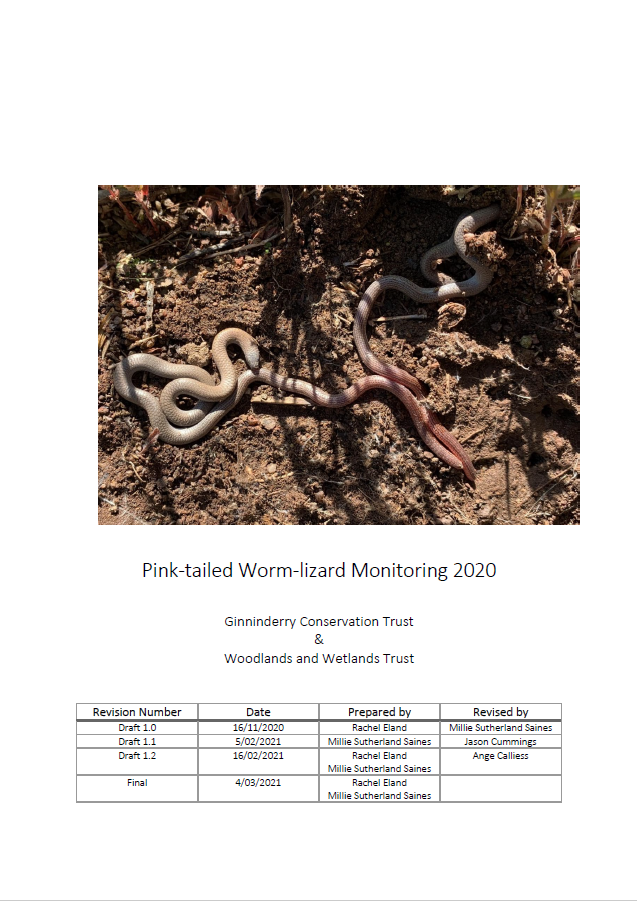 Pink-tailed Worm-lizard Monitoring 2020.png