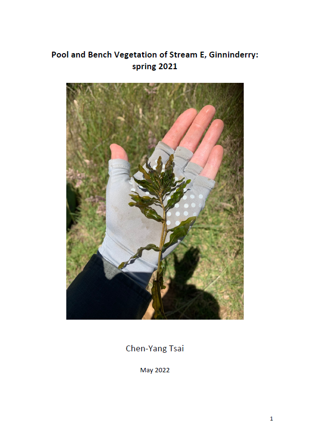 Pool and Bench Vegetation of Stream E, Ginninderry 2021.png