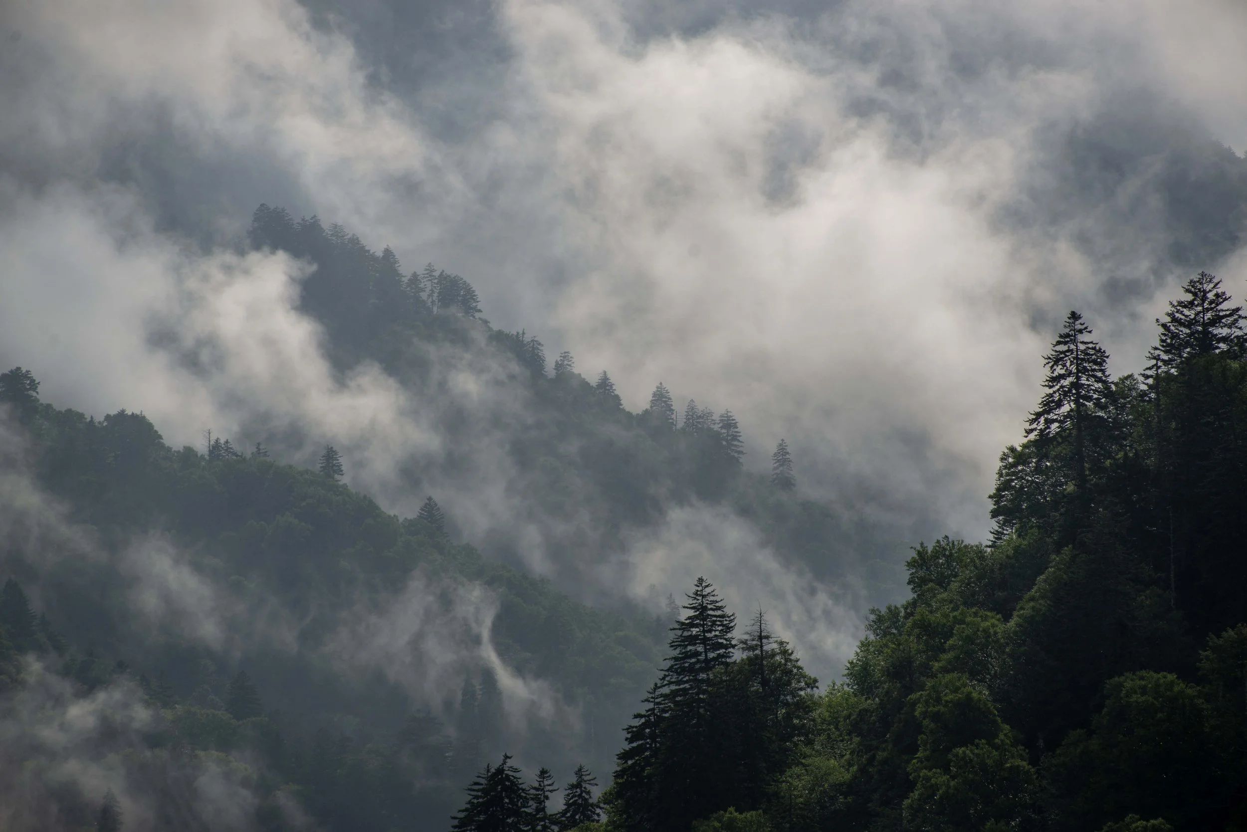 Misty Ridges.jpg