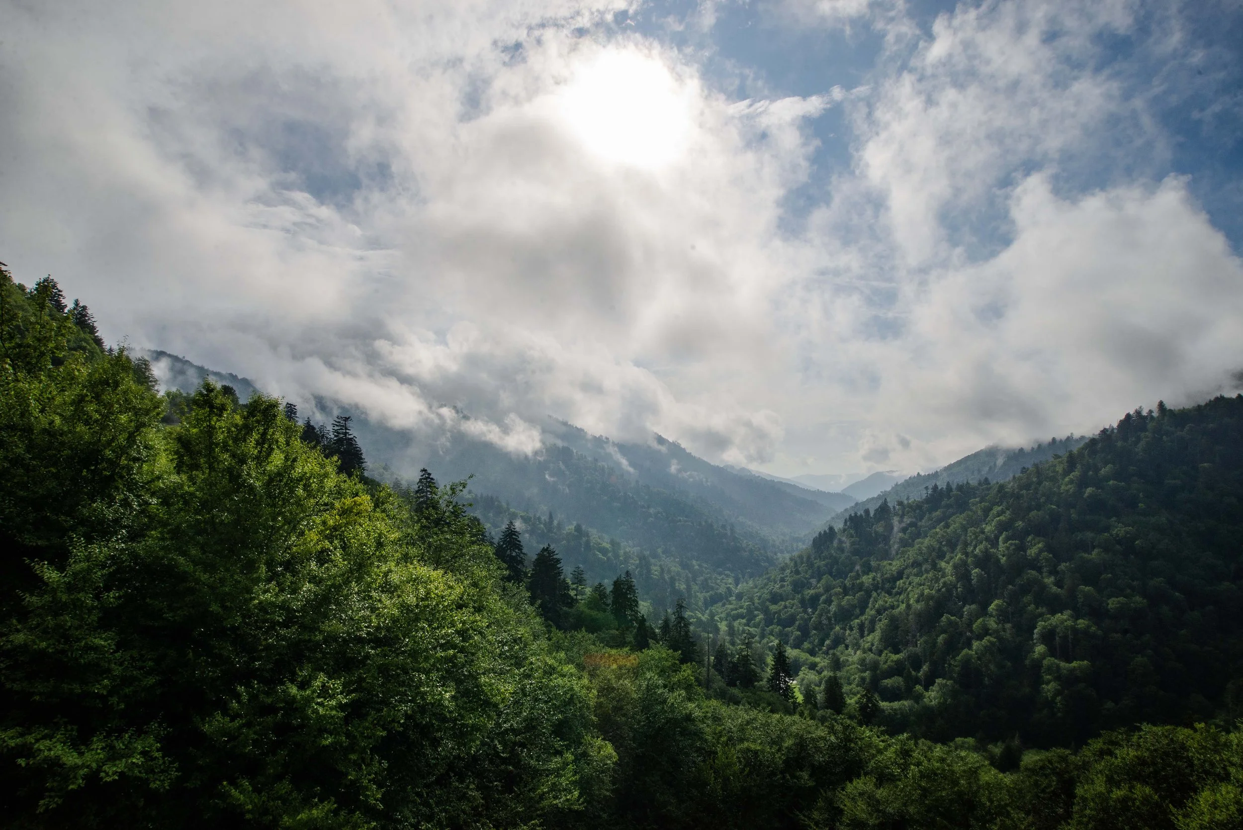 Fog Rolling into Valley.jpg
