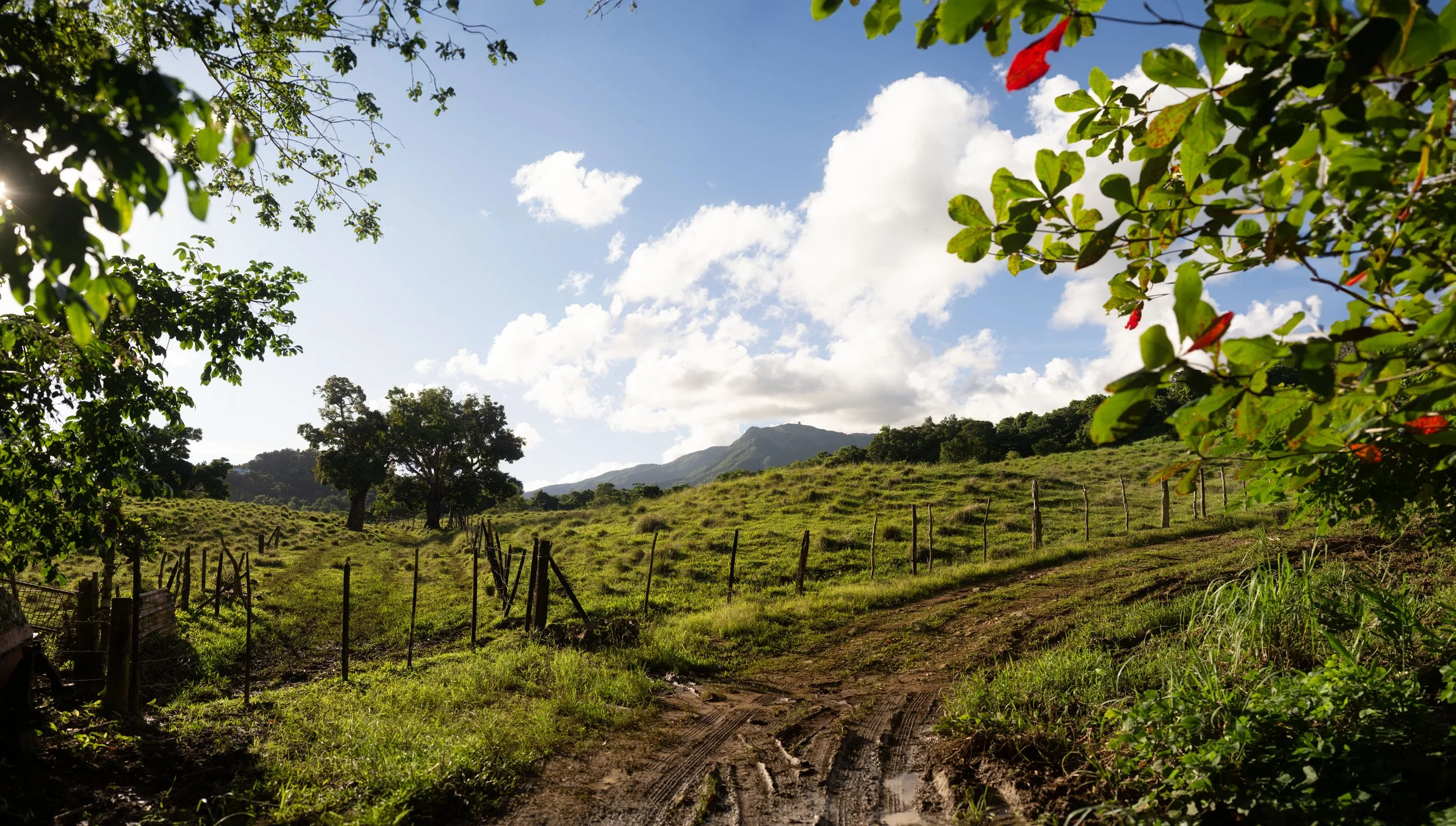 Farm and Road Observatory Mountain Panoramic copy.jpg