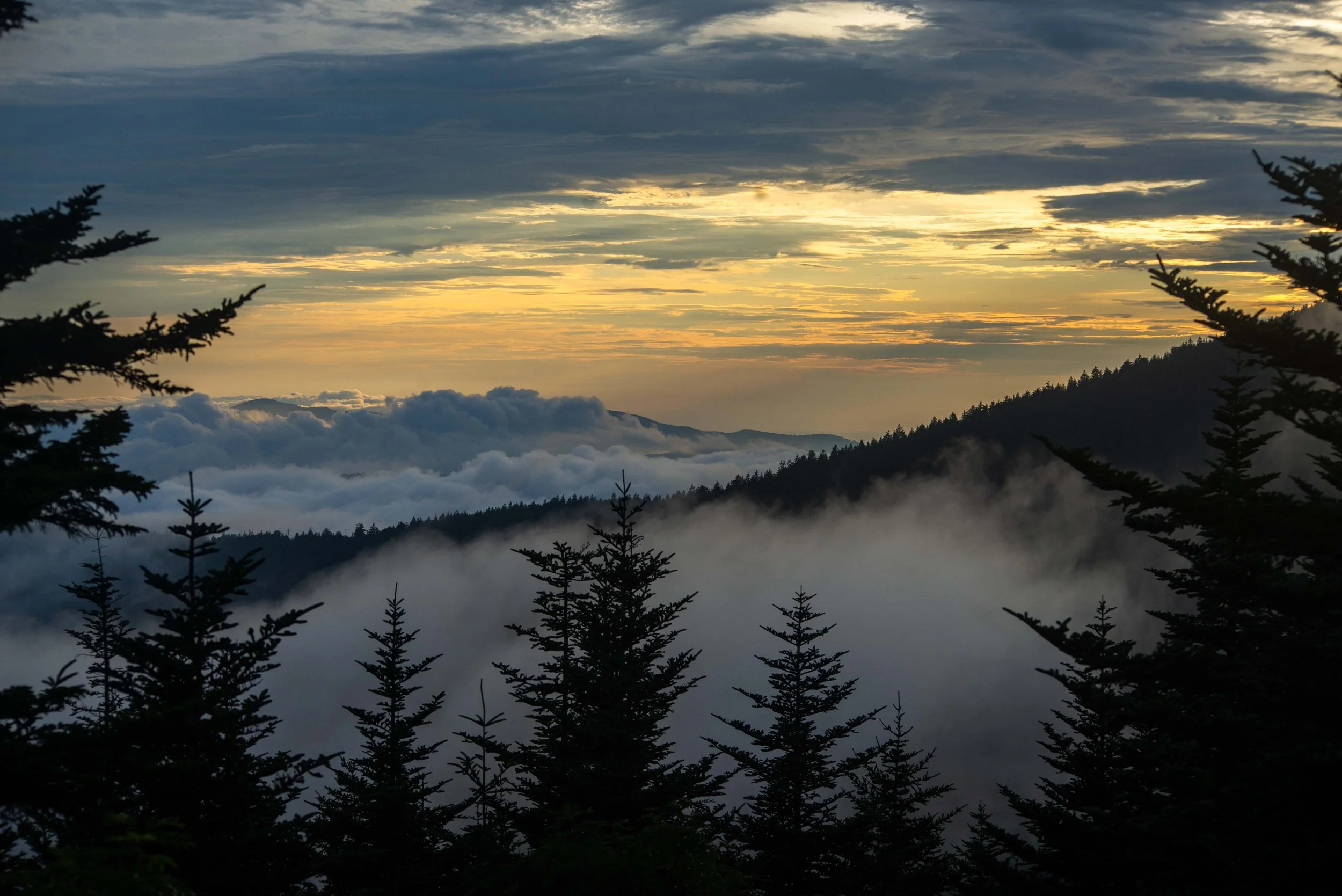 Smokey Dome View.jpg