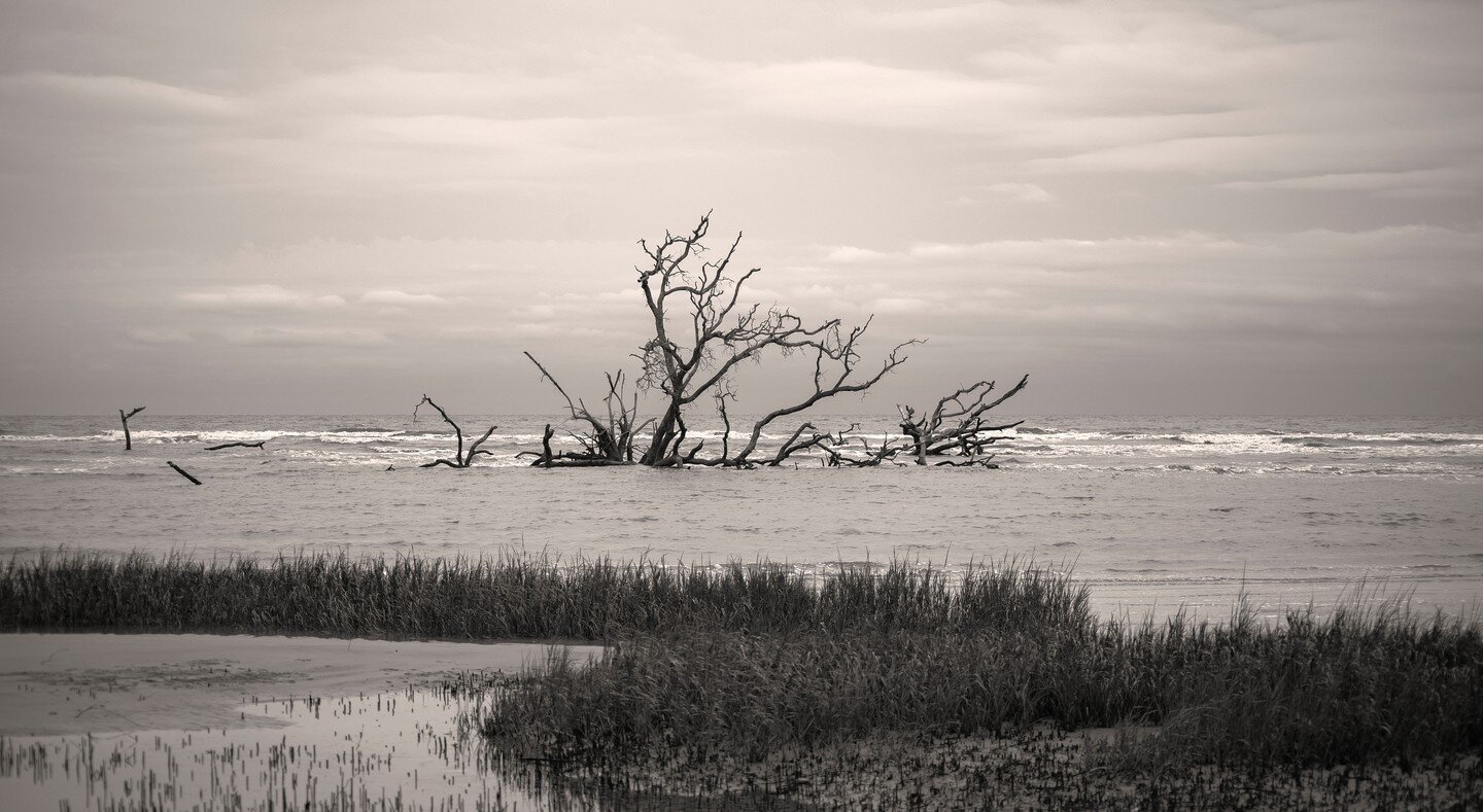 Hunting Island, South Carolina

#tidal 
#erosion 
#HuntingIsland
#FineArtPhotography
#FineArt
#SouthCarolina
#OceanView
#BeachArt
#CoastalPhotography
#IslandLife
#OceanScape
#BeachLife
#NaturePhotography
#HuntingIslandStatePark
#FineArtGallery
#South