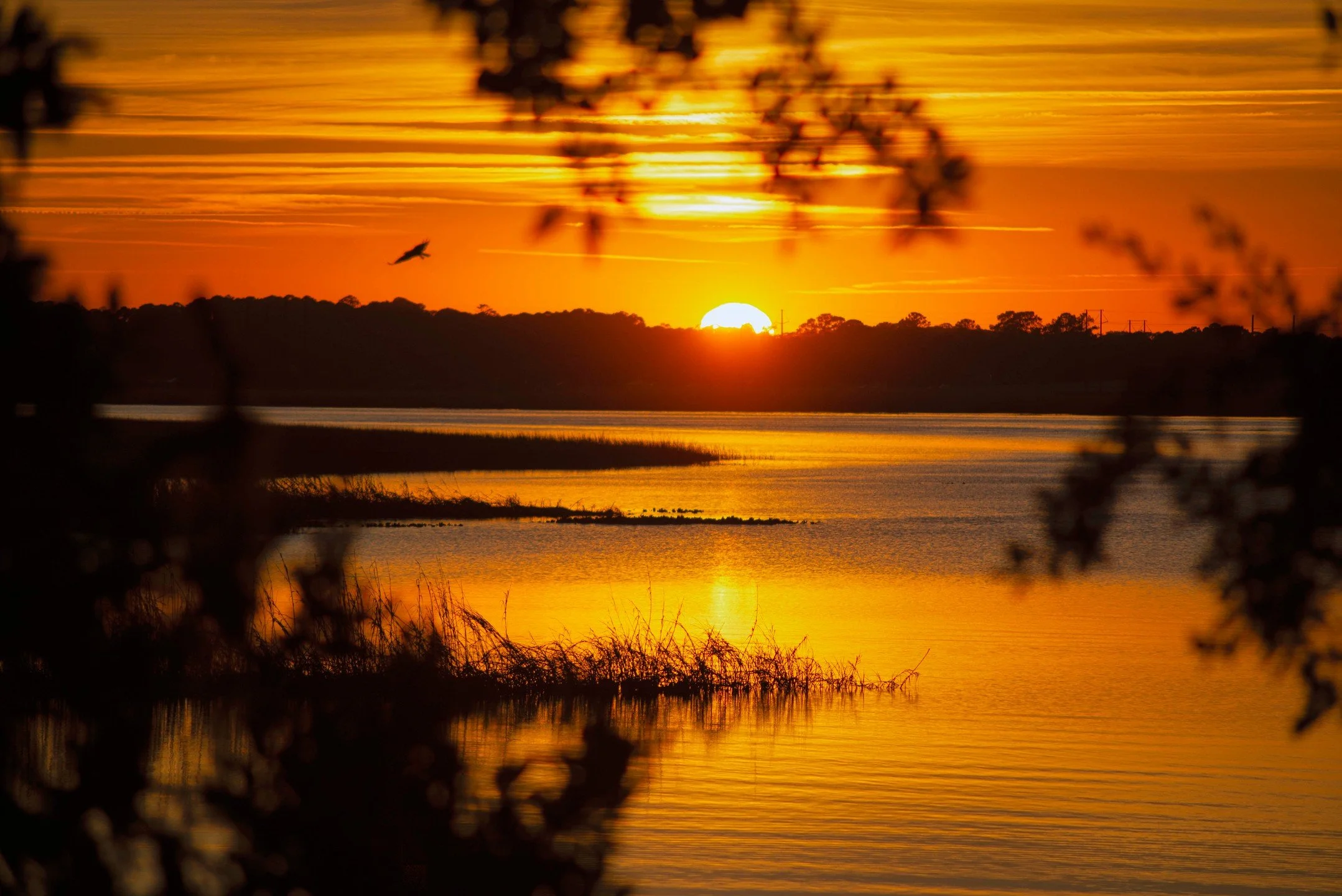 Pickney Island Sunset
.
.
.
.
.
.
.
.
.
.
.
.
.
#hiltonhead 
#&iacute;sland 
#sunsetlovers 
#sunset 
#marshland 
#pickneyislandnaturepreserve 
#forestpreserve 
#south carolina
#lowcountry 
#photography
#nikon
#Ocean
#seascapes
