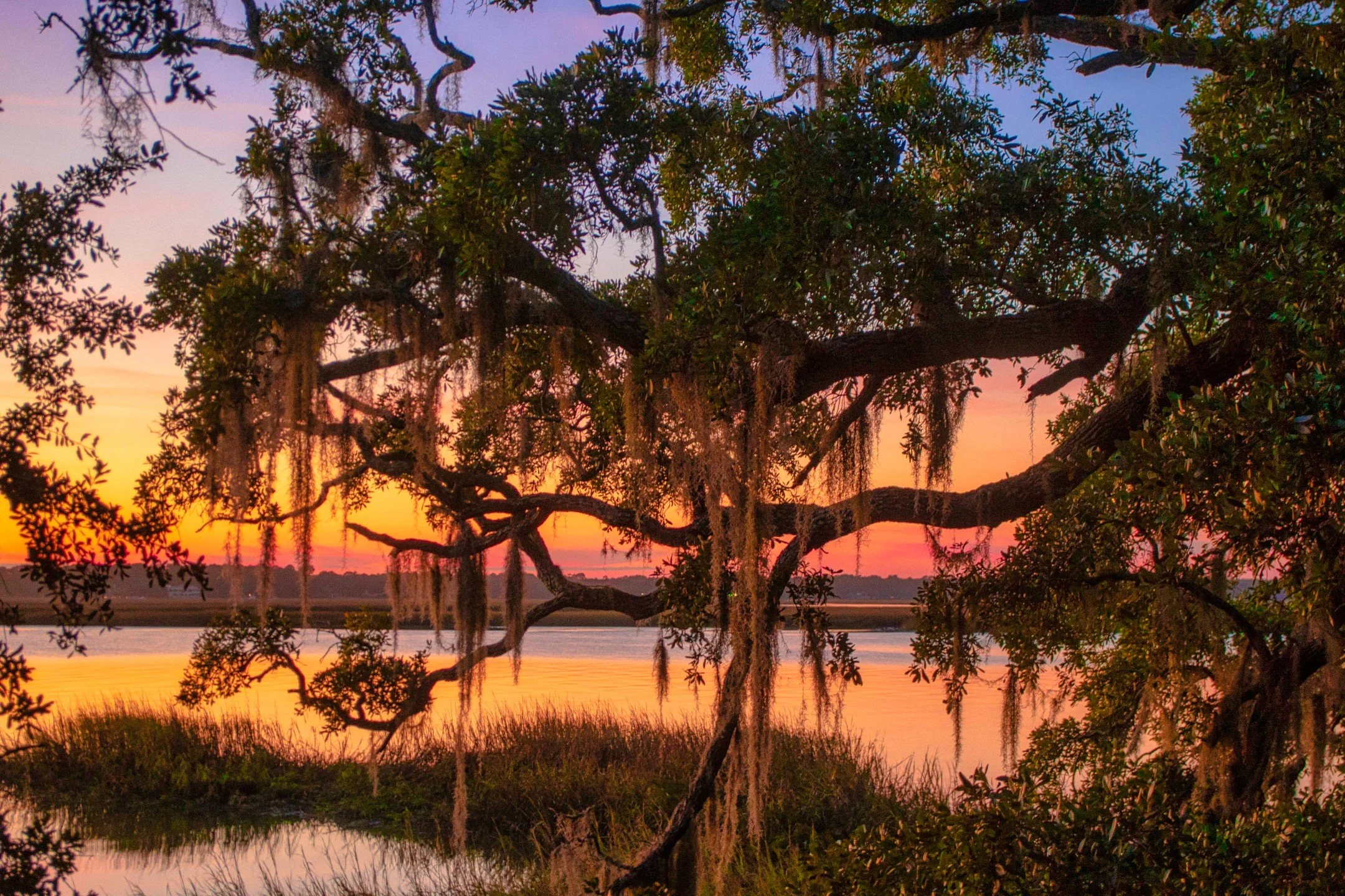 Sea Island Sunset
.
.
.
.
.
.
.
.
.
.
.
#Hiltonheadisland
#blufftonsc
#pickneyislandnature
#Sunsetlovers
#sunsetphotography
#seascape
#photography
#fineartphotography
#liveoak
#lowcountry
#Charlestonsc
#savannahga
#Trees
#treesofinstagram🌳
