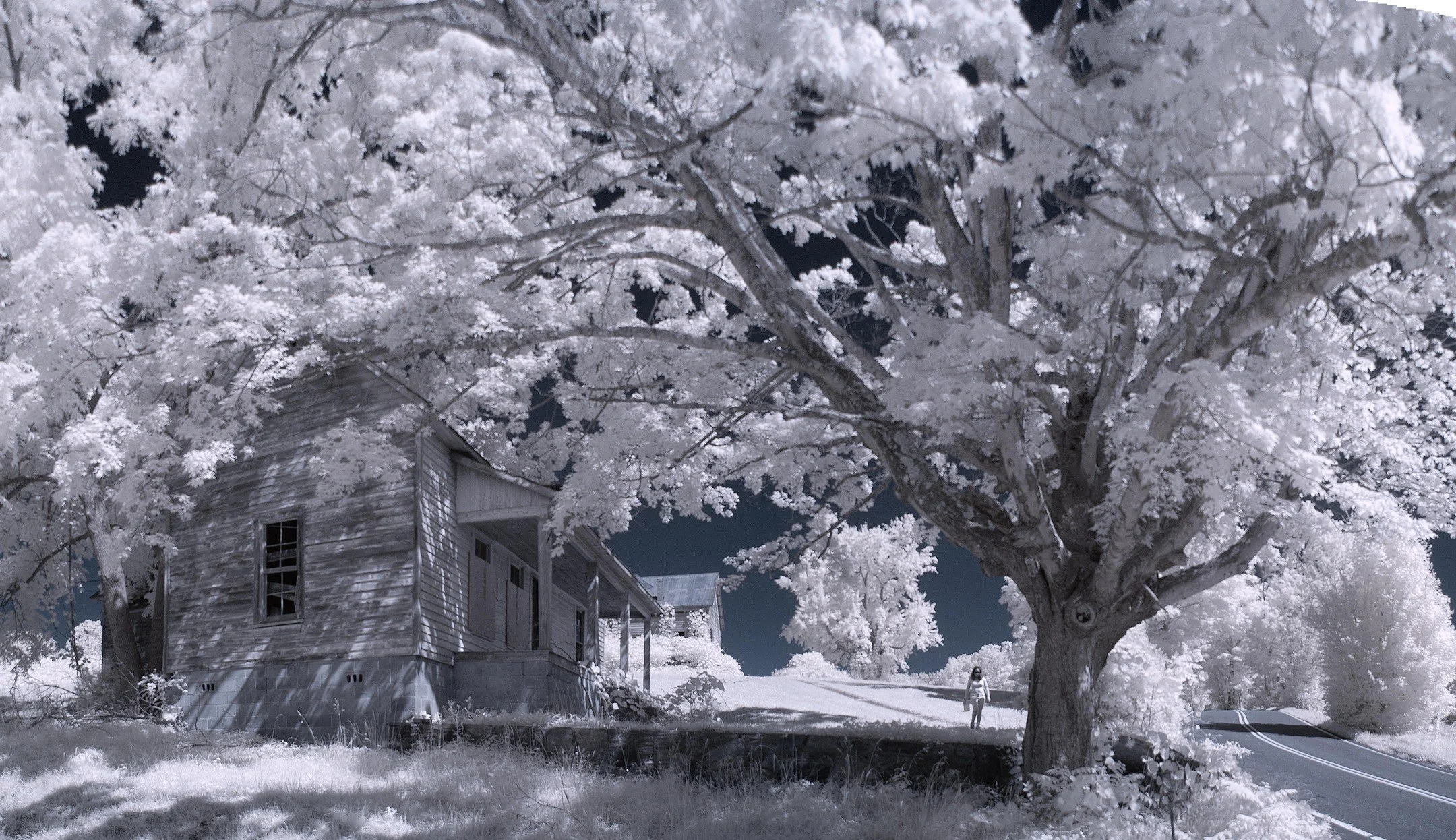 Henry River Mill Village
Abandoned ghost town used as a location in The Hunger Games.

#Infrared #infraredphotography #infaredtrees #henryrivermillvillage #hungergames #filmlocations #hickorync #northcarolina #streetphotography #treephotography #fore