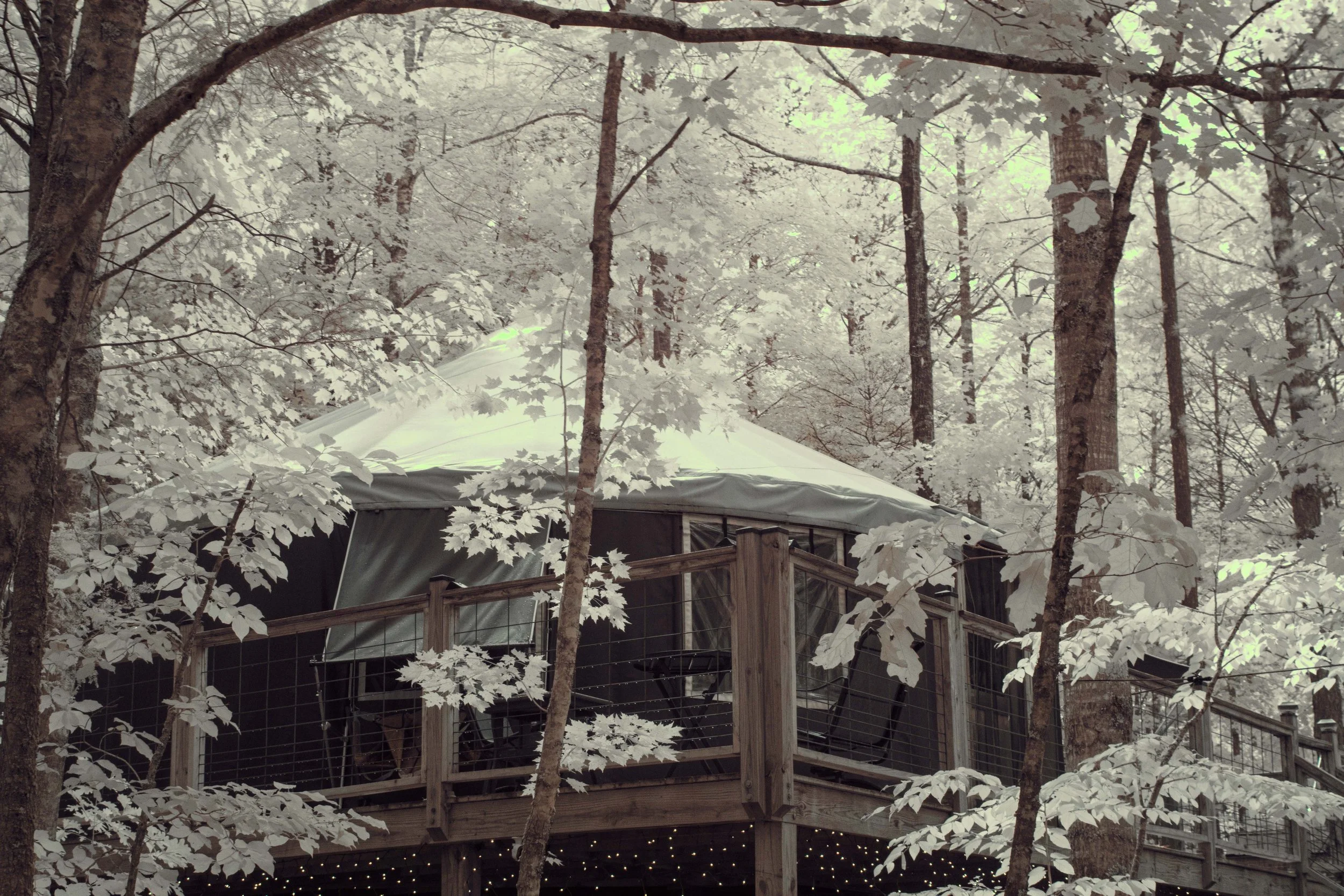 Yurt Side.jpg