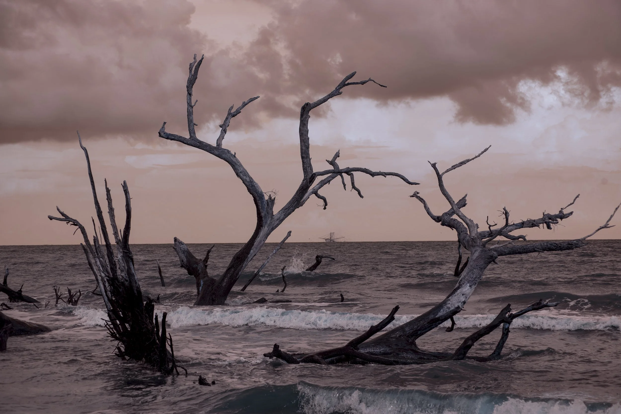 _MKR2031-Recovered.jpg