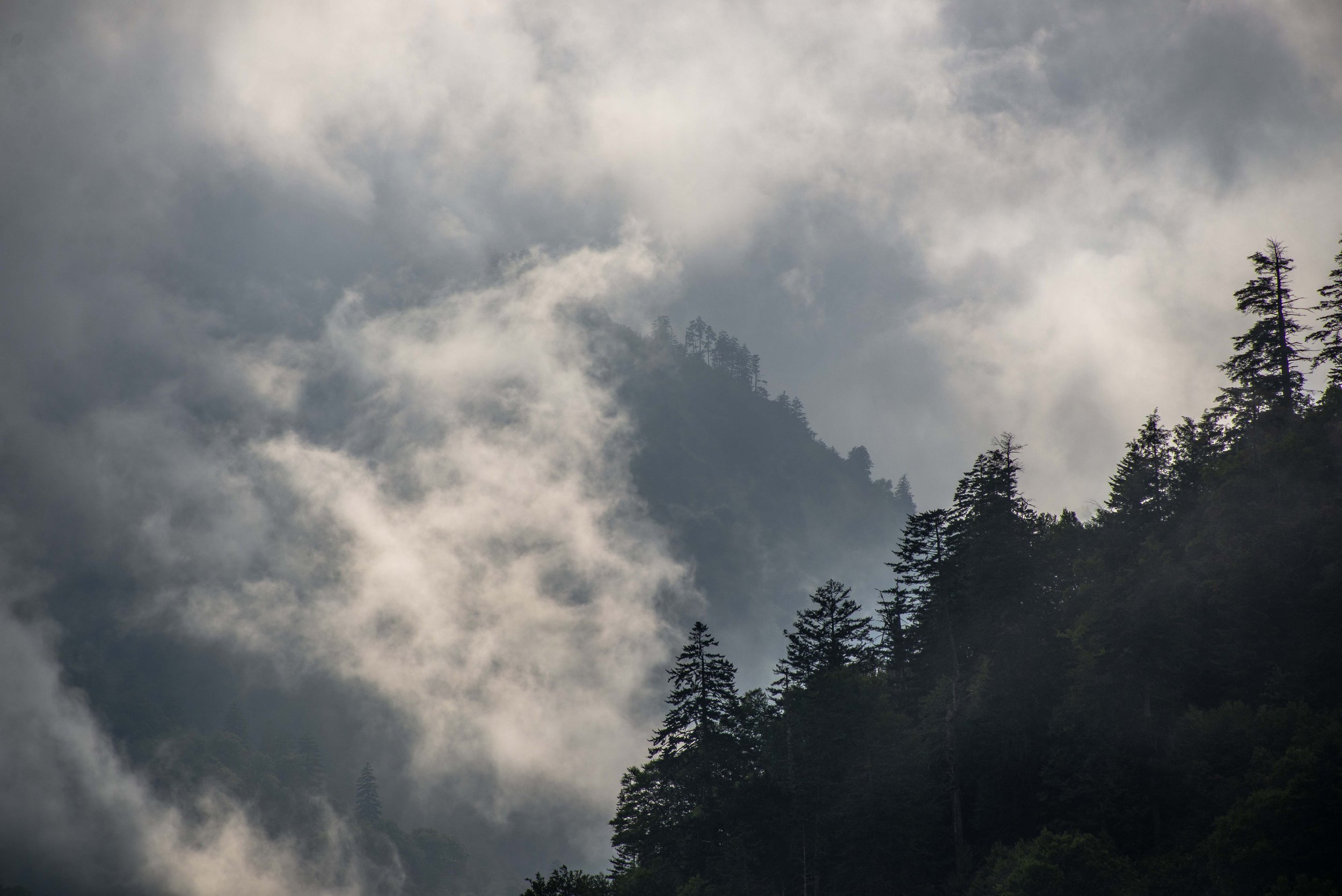 Misty Valley.jpg