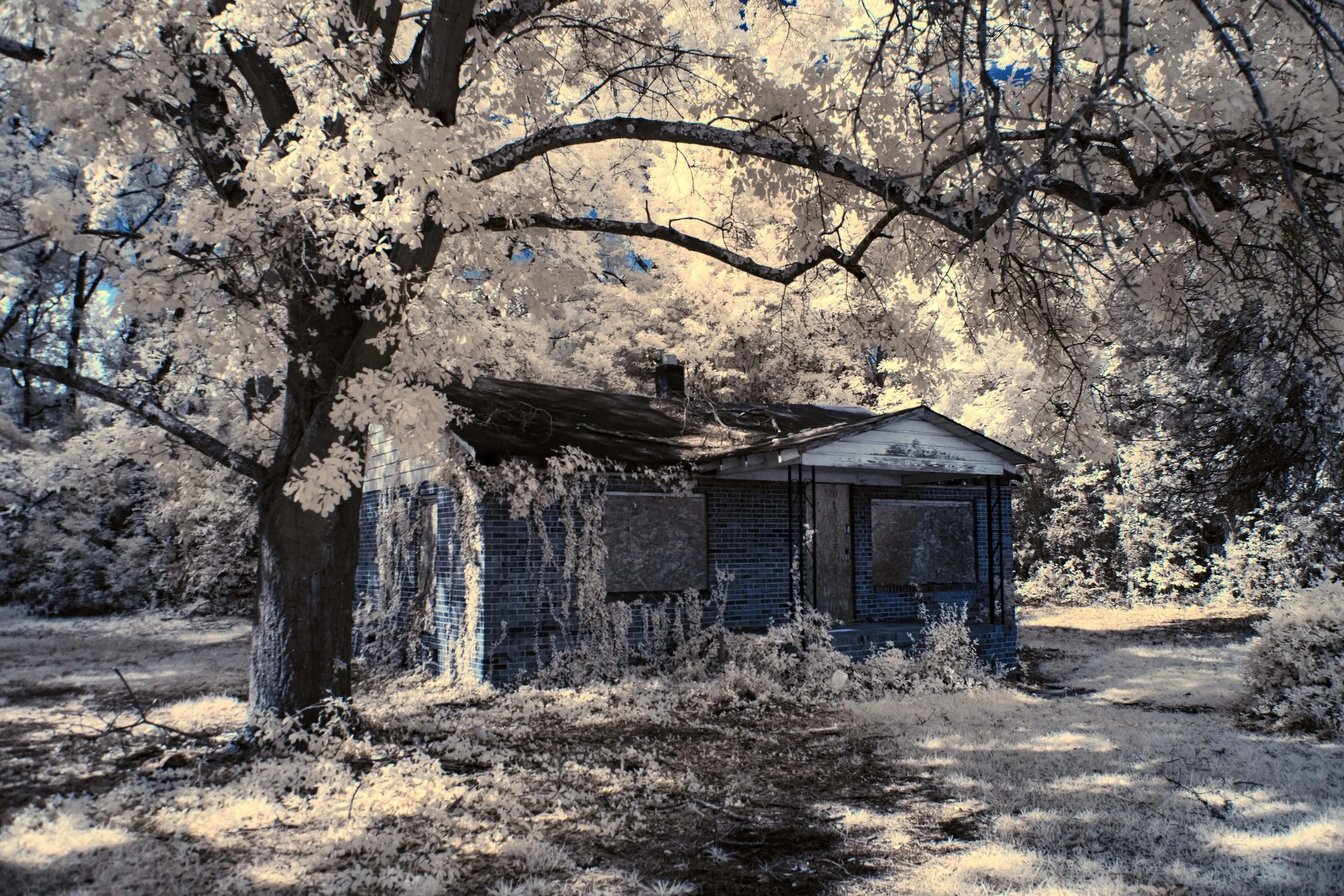 Laurinburg Fruit House front yard IR.jpg