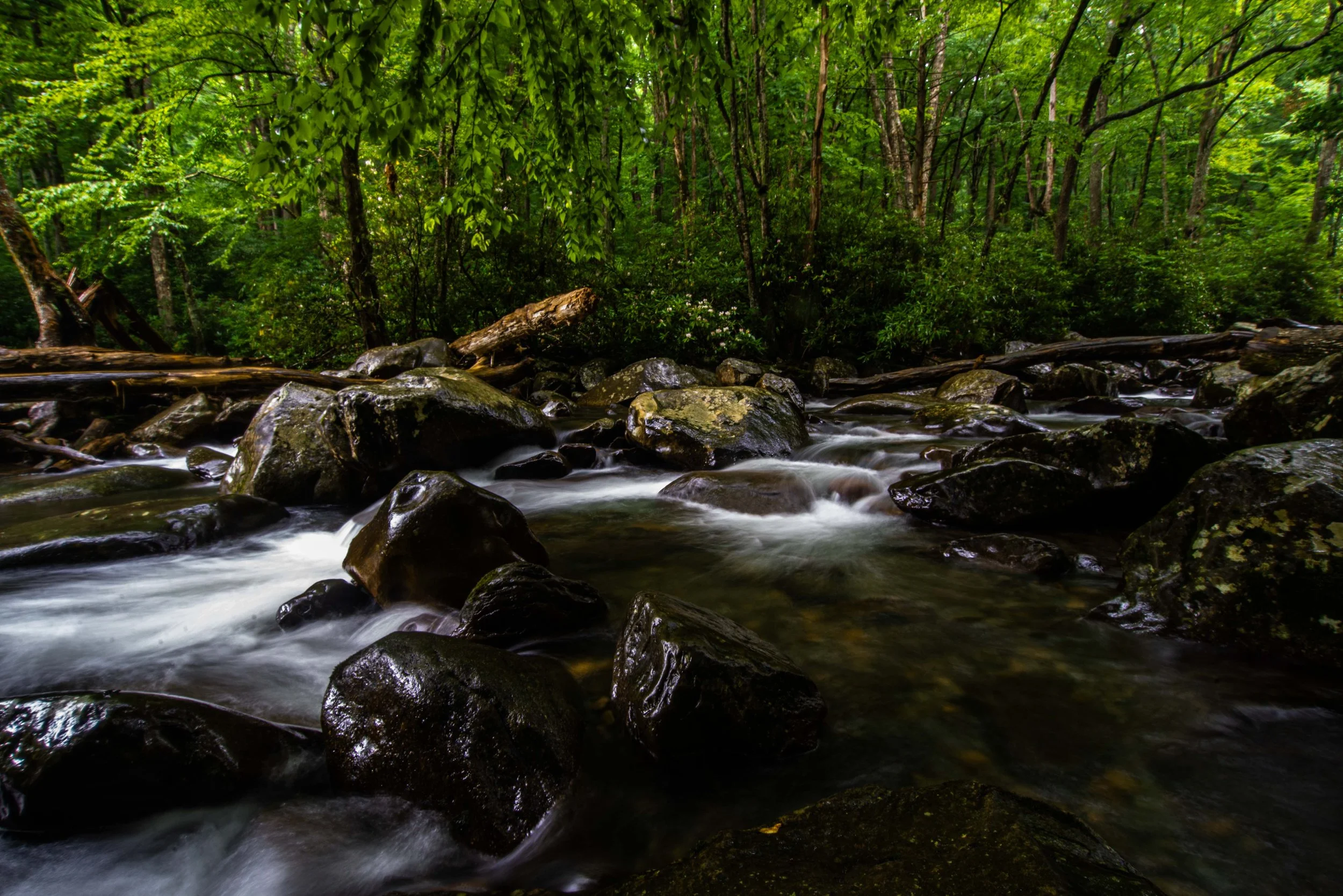 River near Gatlinburg picnicarea.jpg