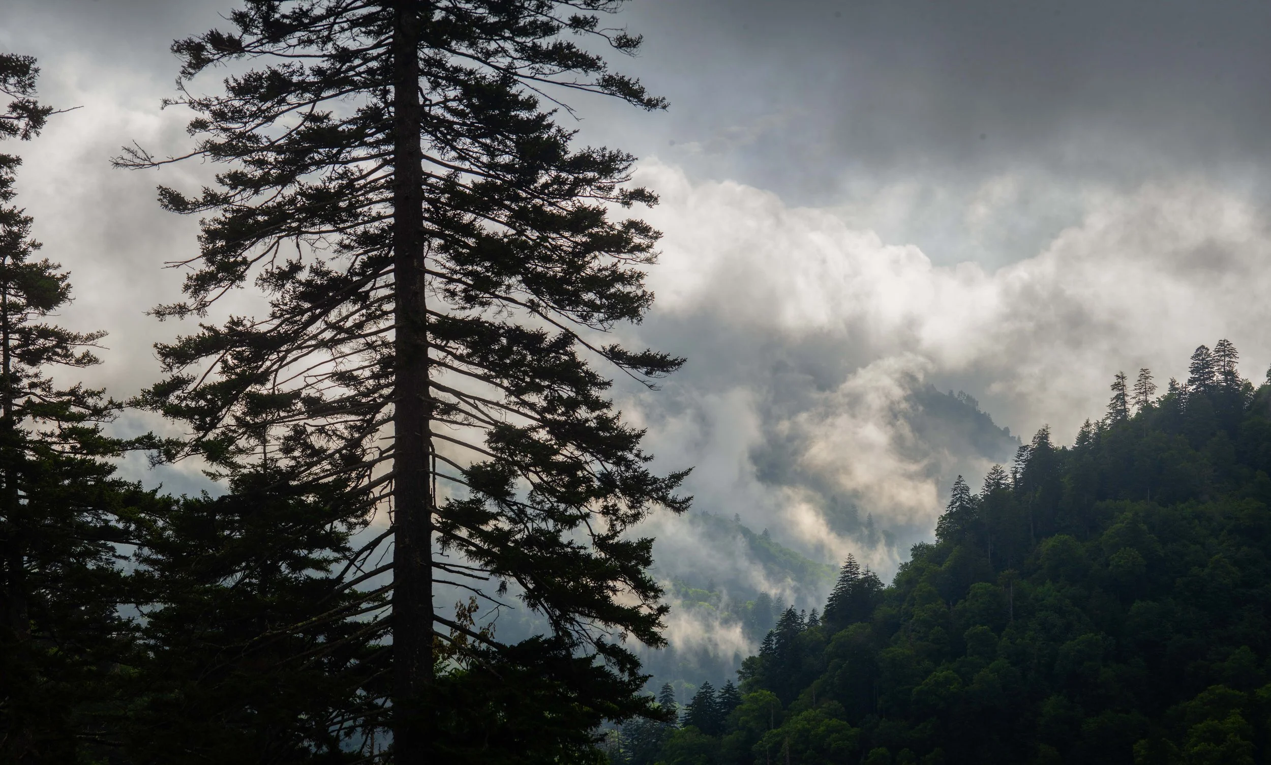 Misty Ridges Panoramic.jpg