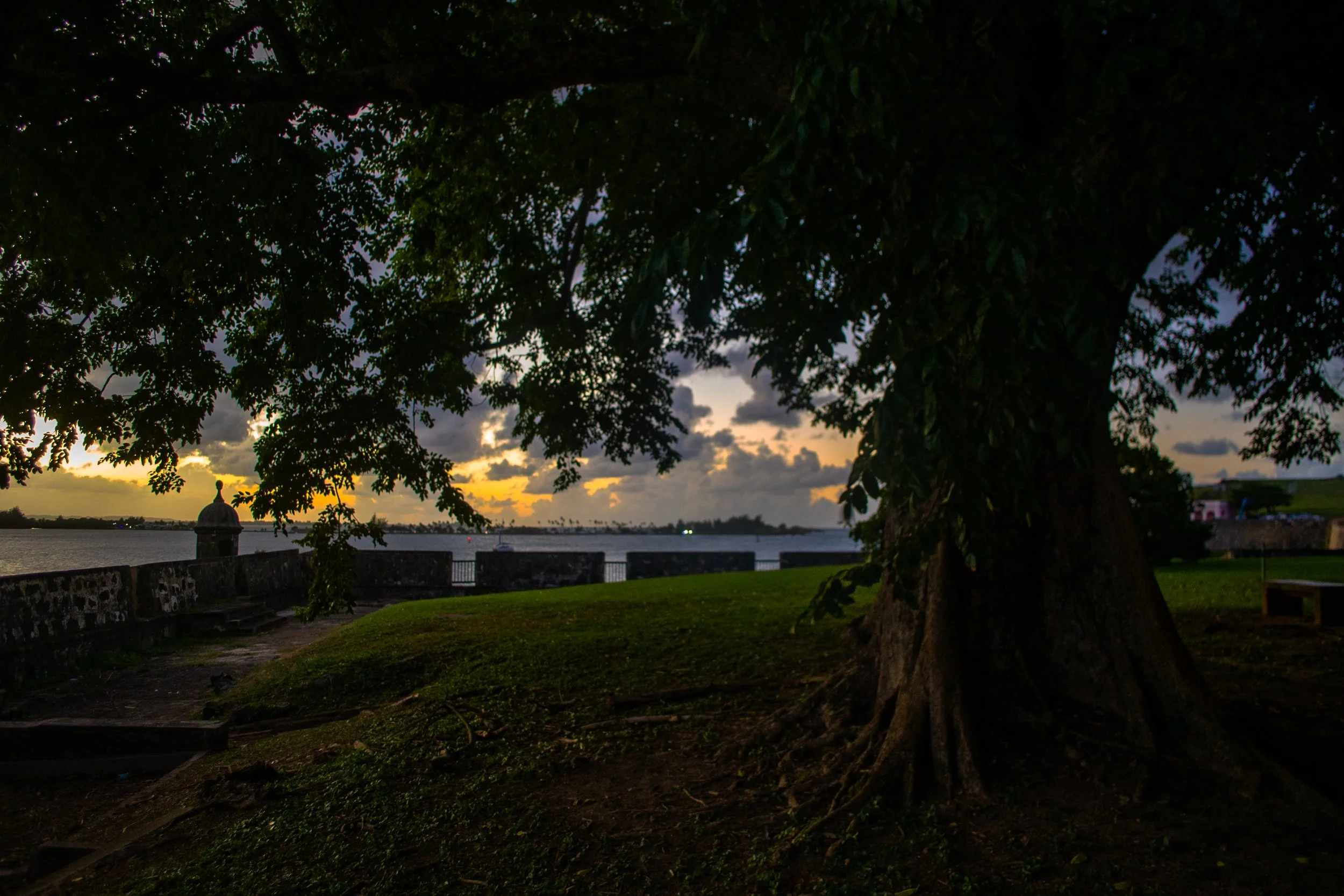 SanJaun Harbour oak sunset copy.jpg