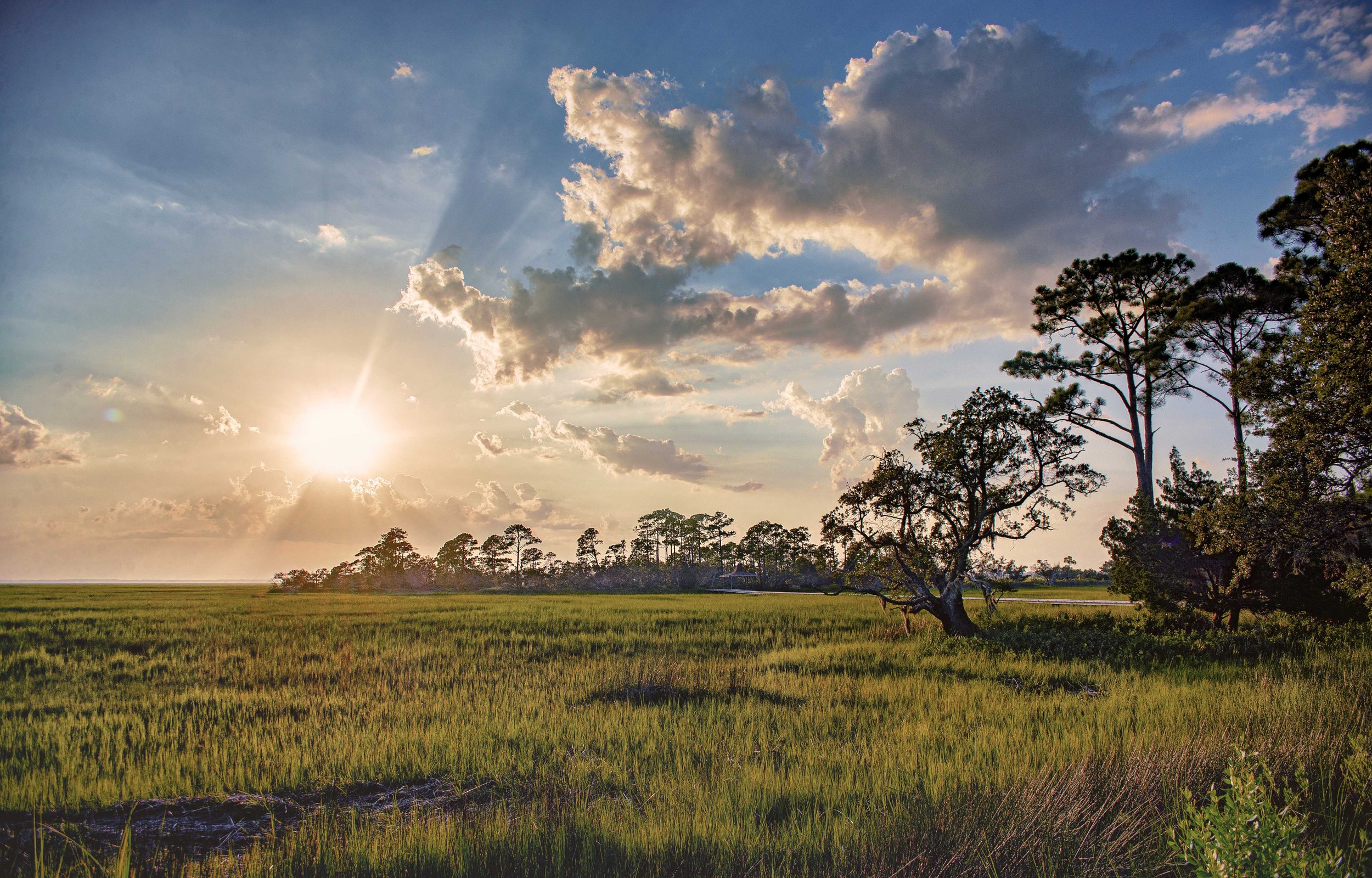 StarkMarshLandSunset.jpg