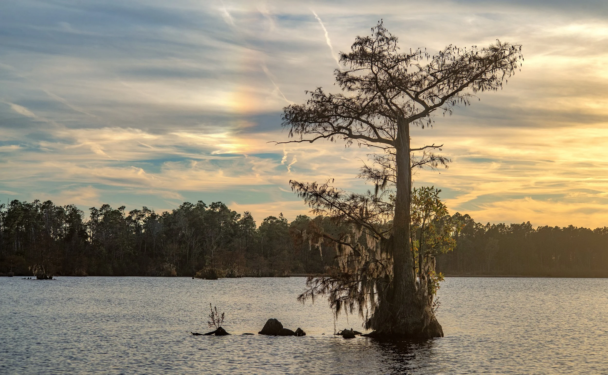 Singletary Lake Cypress Tree Sunset with Rainbow copy.jpg