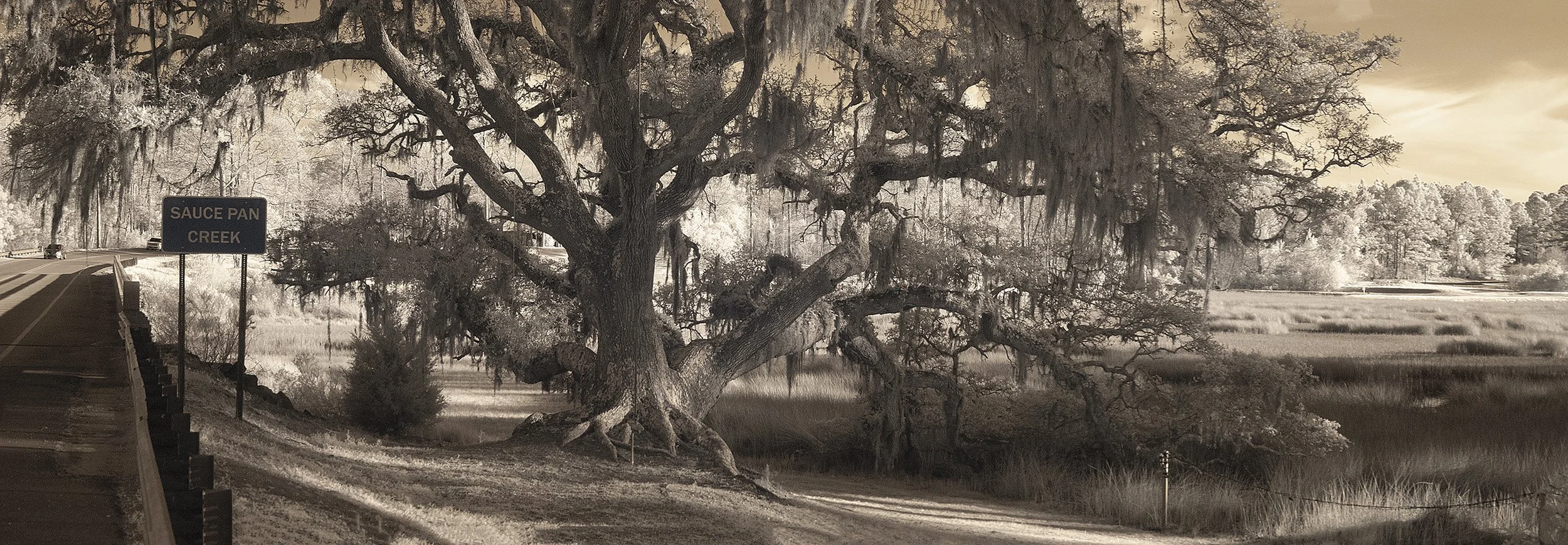 SaucePanCreekSepia.jpg