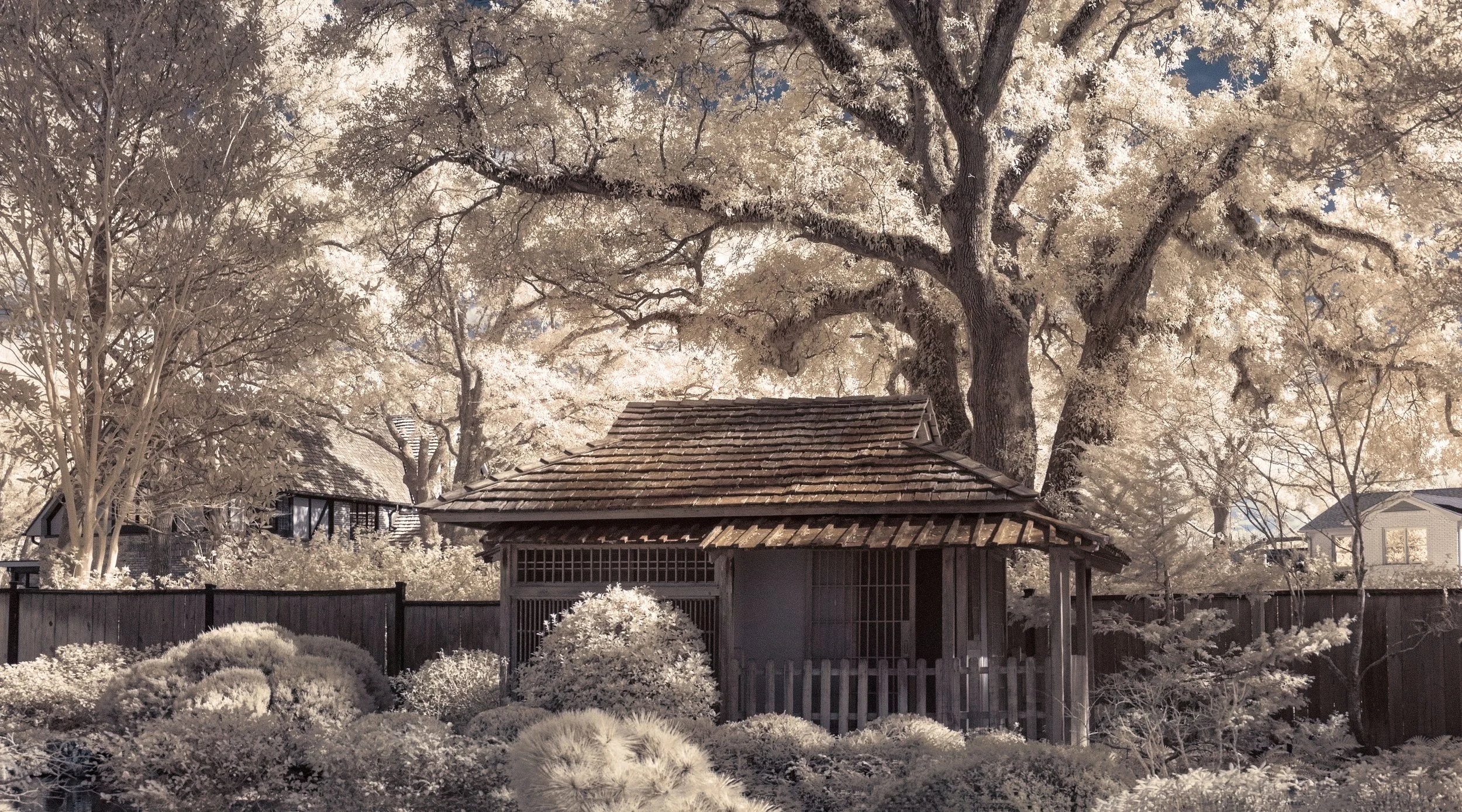 Japanese Garden Teahouse Wilmington copy.jpg