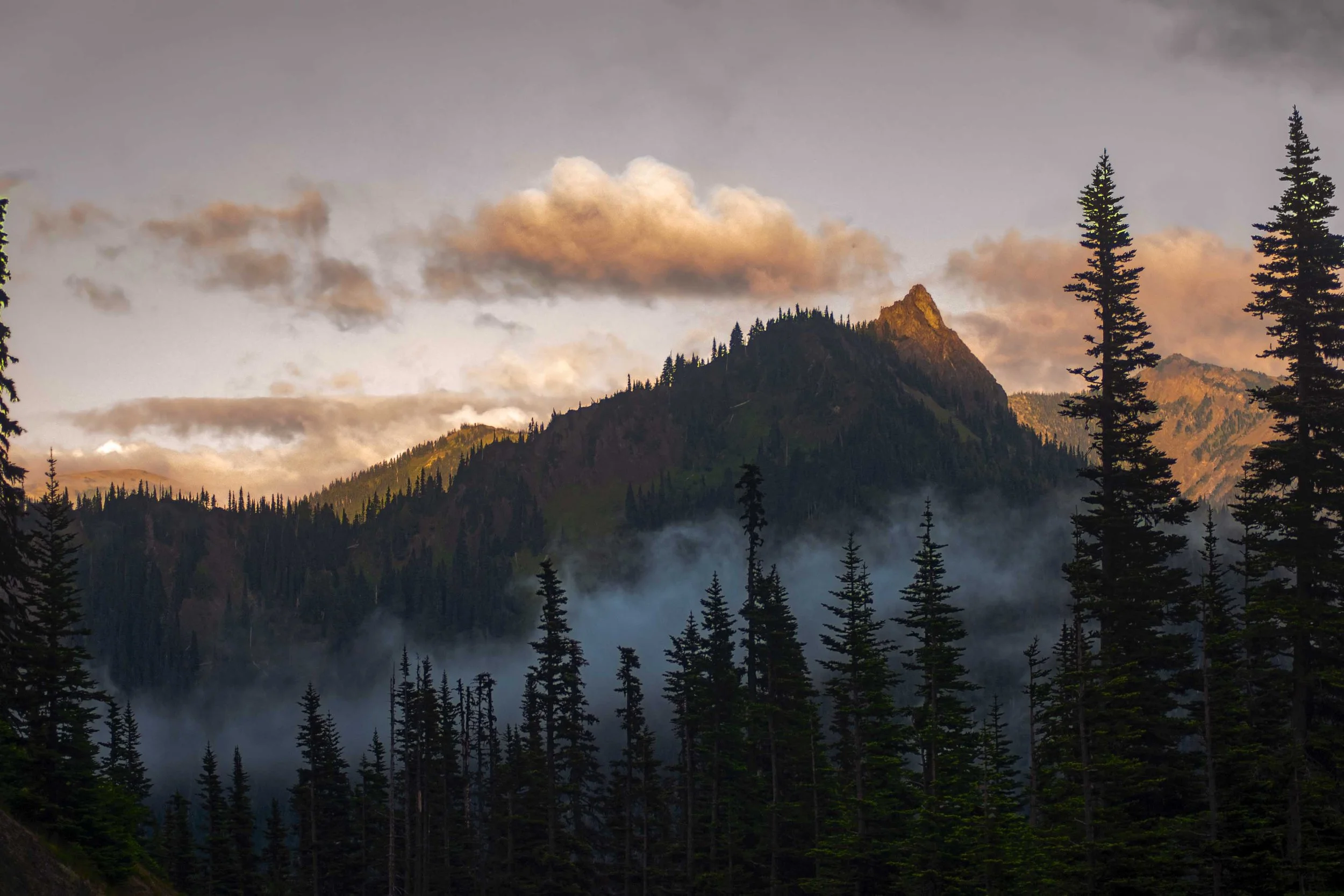 OregonMistyMoutainFogEdit.jpg