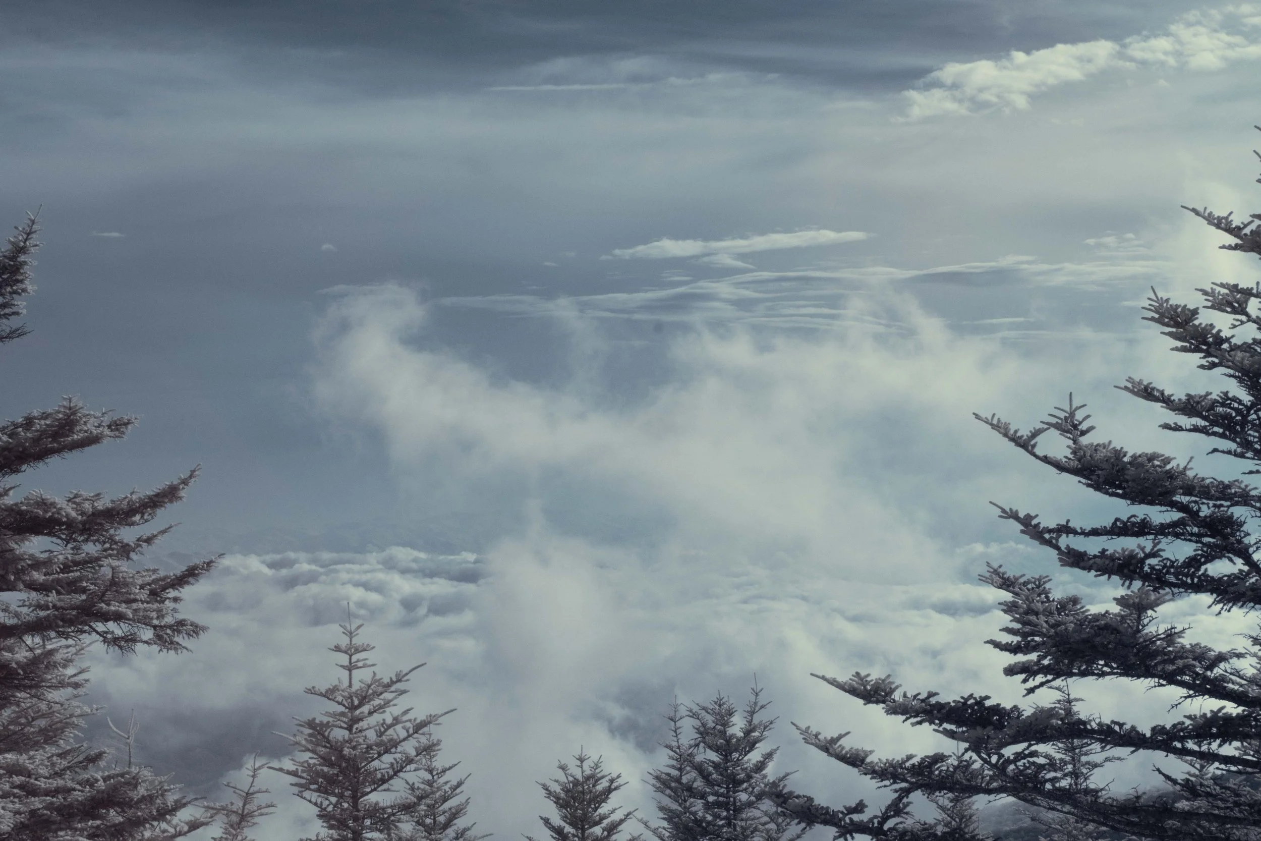 Cloud Bank IR.jpg