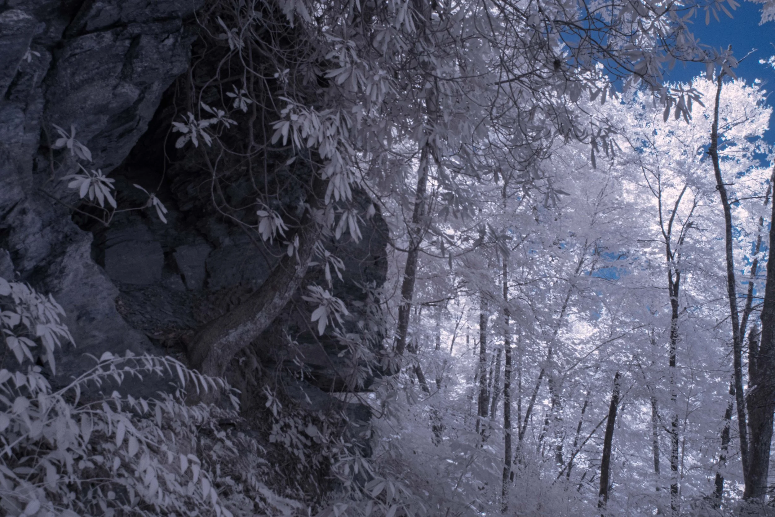 Cliffface Retreat Path IR.jpg