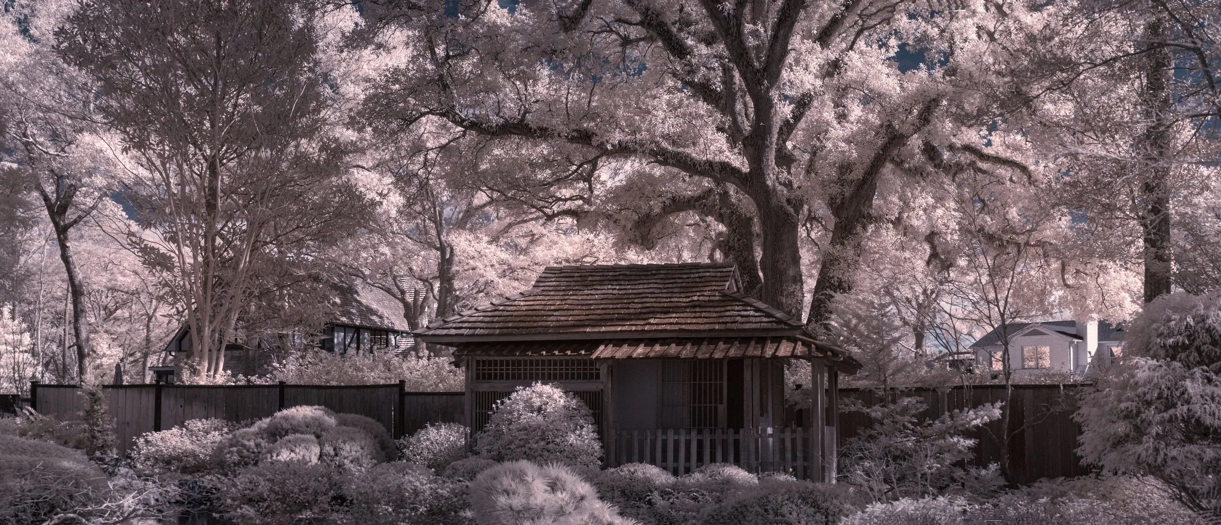 Japanese Garden Teahouse Wilmington copy.jpg