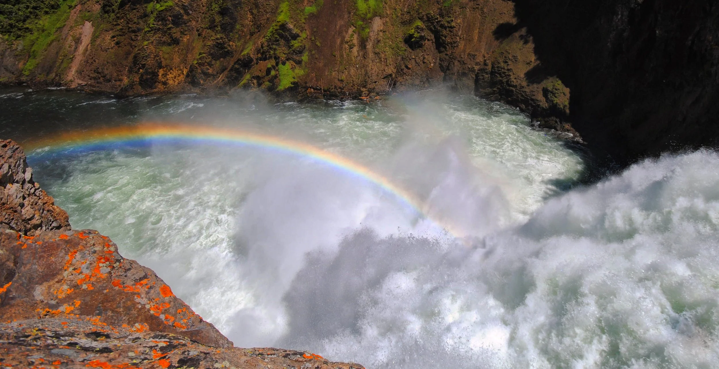 YellowstoneLichenRainbowFalls.jpg