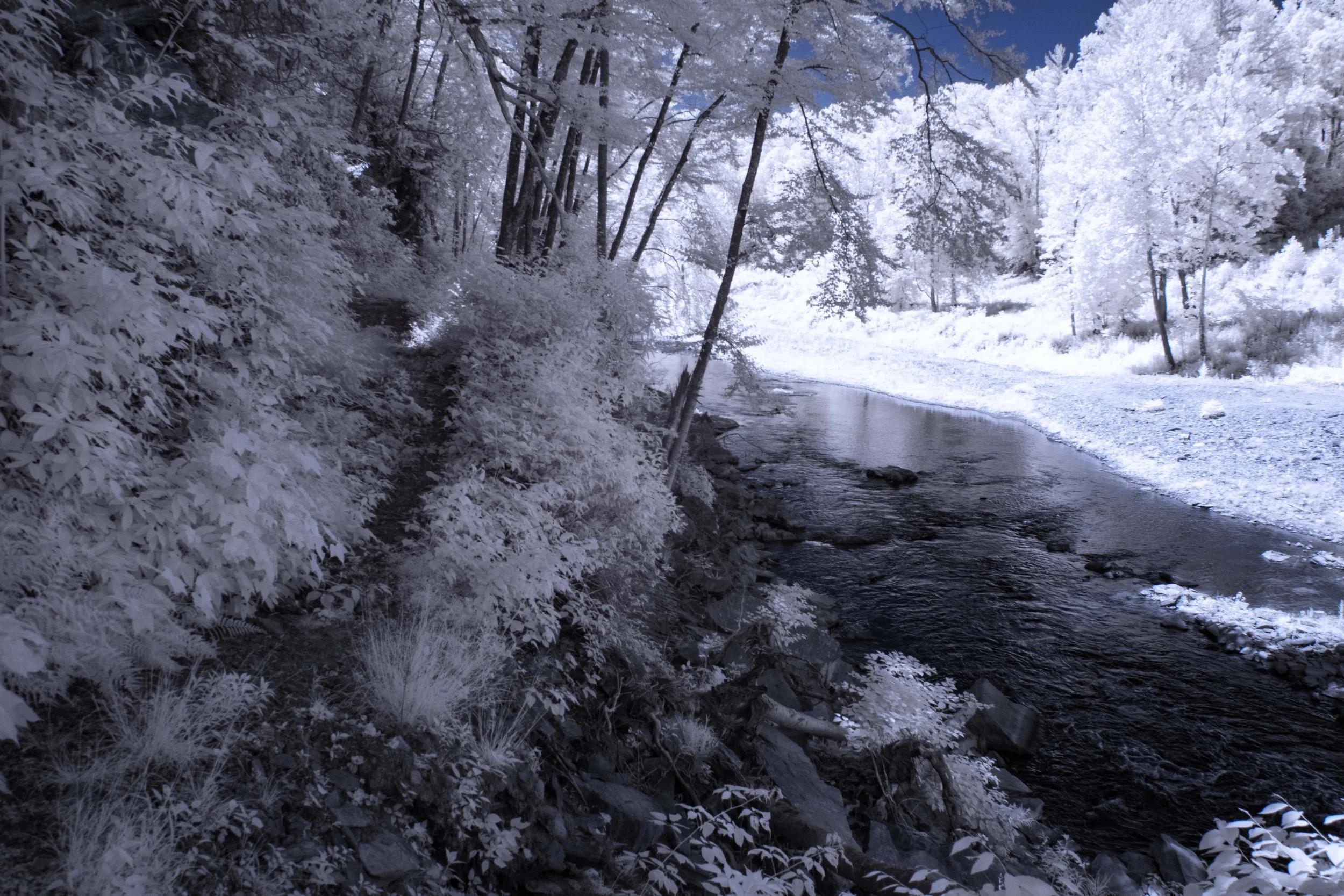 Path and River at Retreat IR.jpg