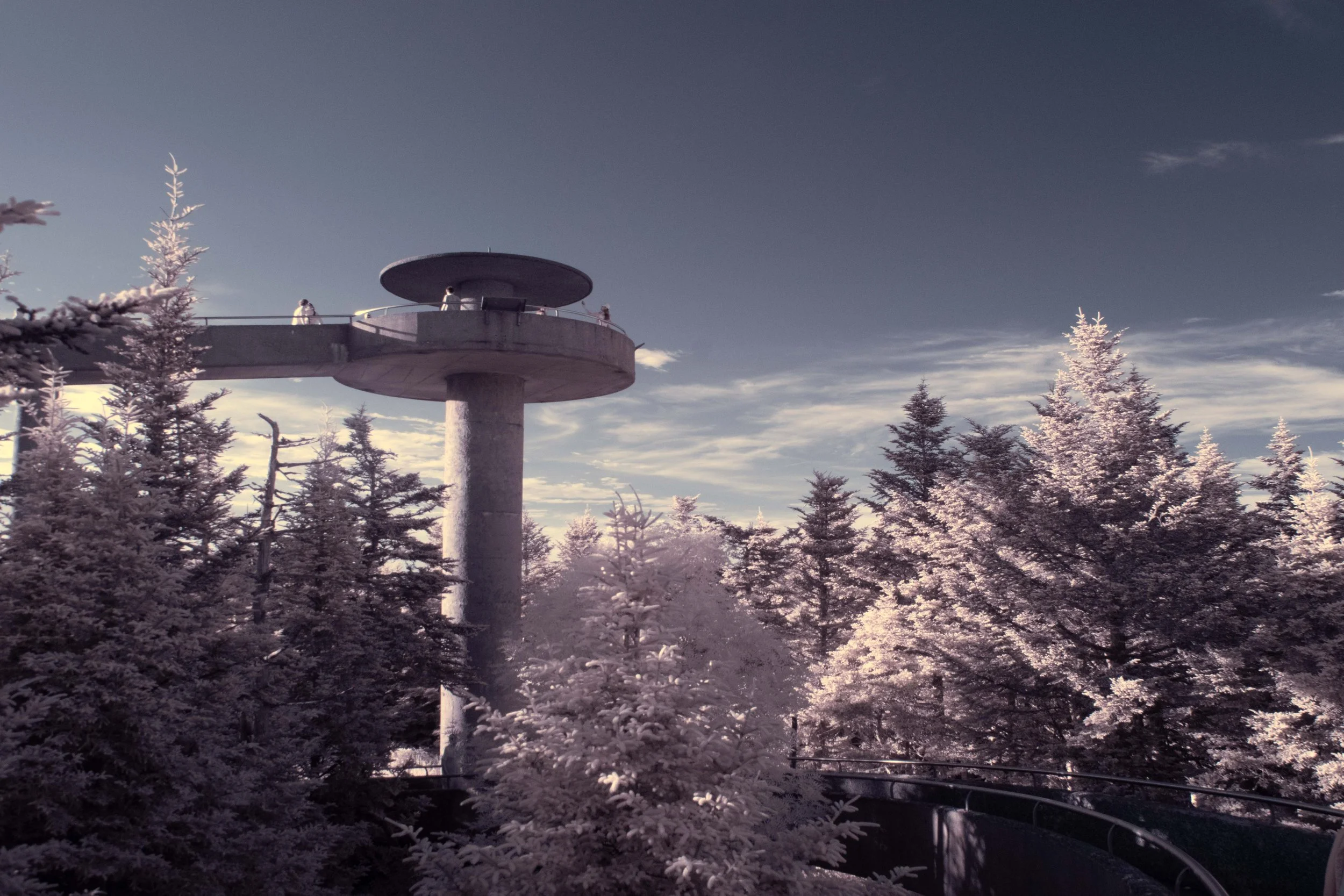 Observation Point and Forest IR.jpg