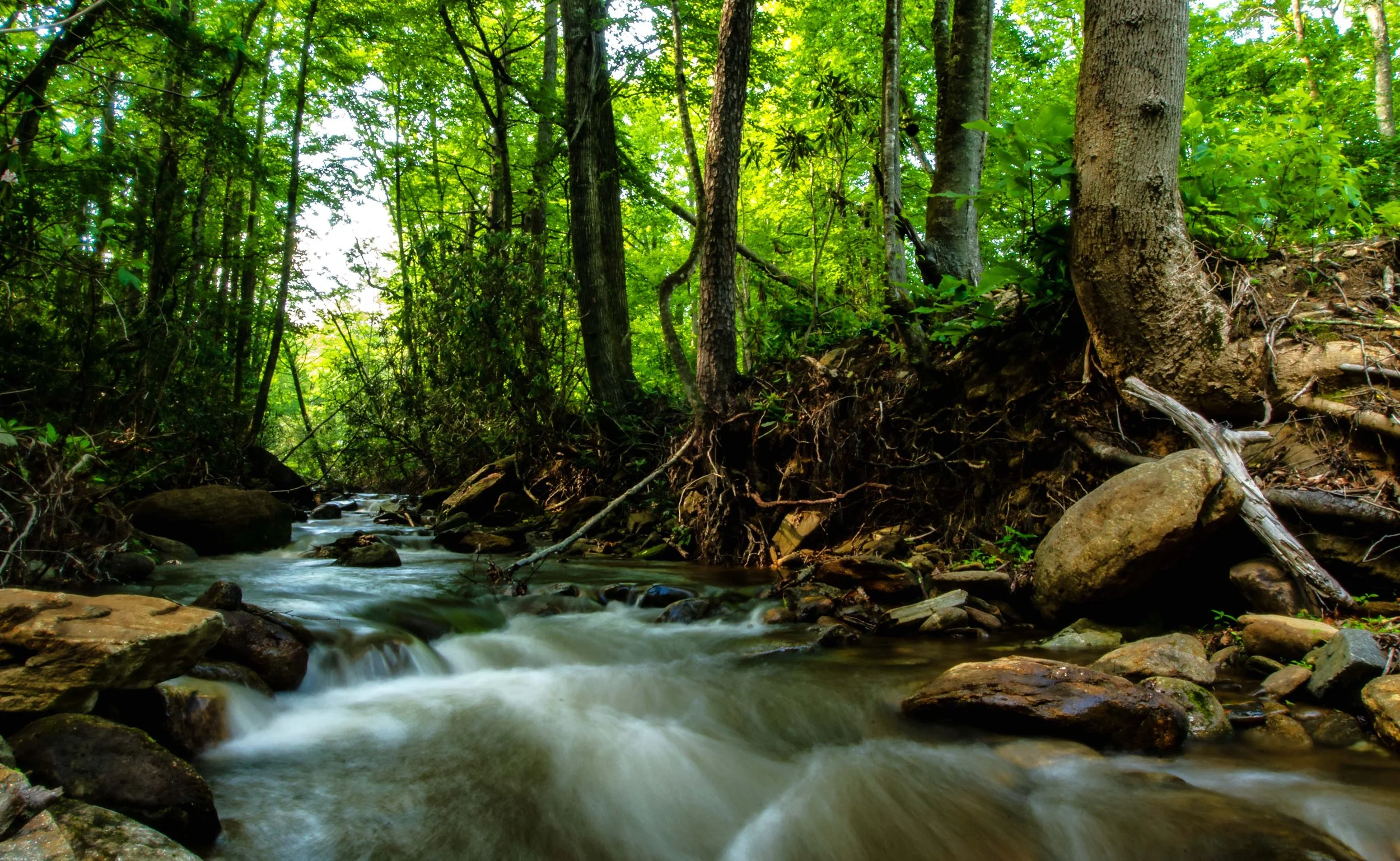 Locust Creek after Rain.jpg