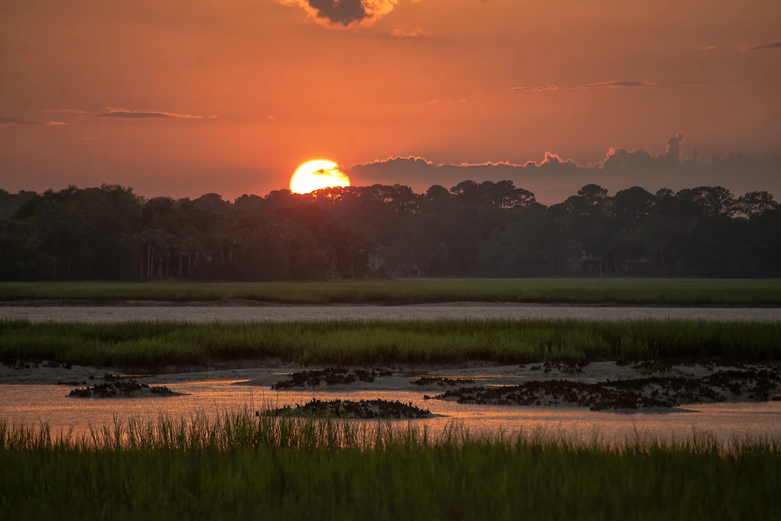 PickneyMarshSunset.jpg