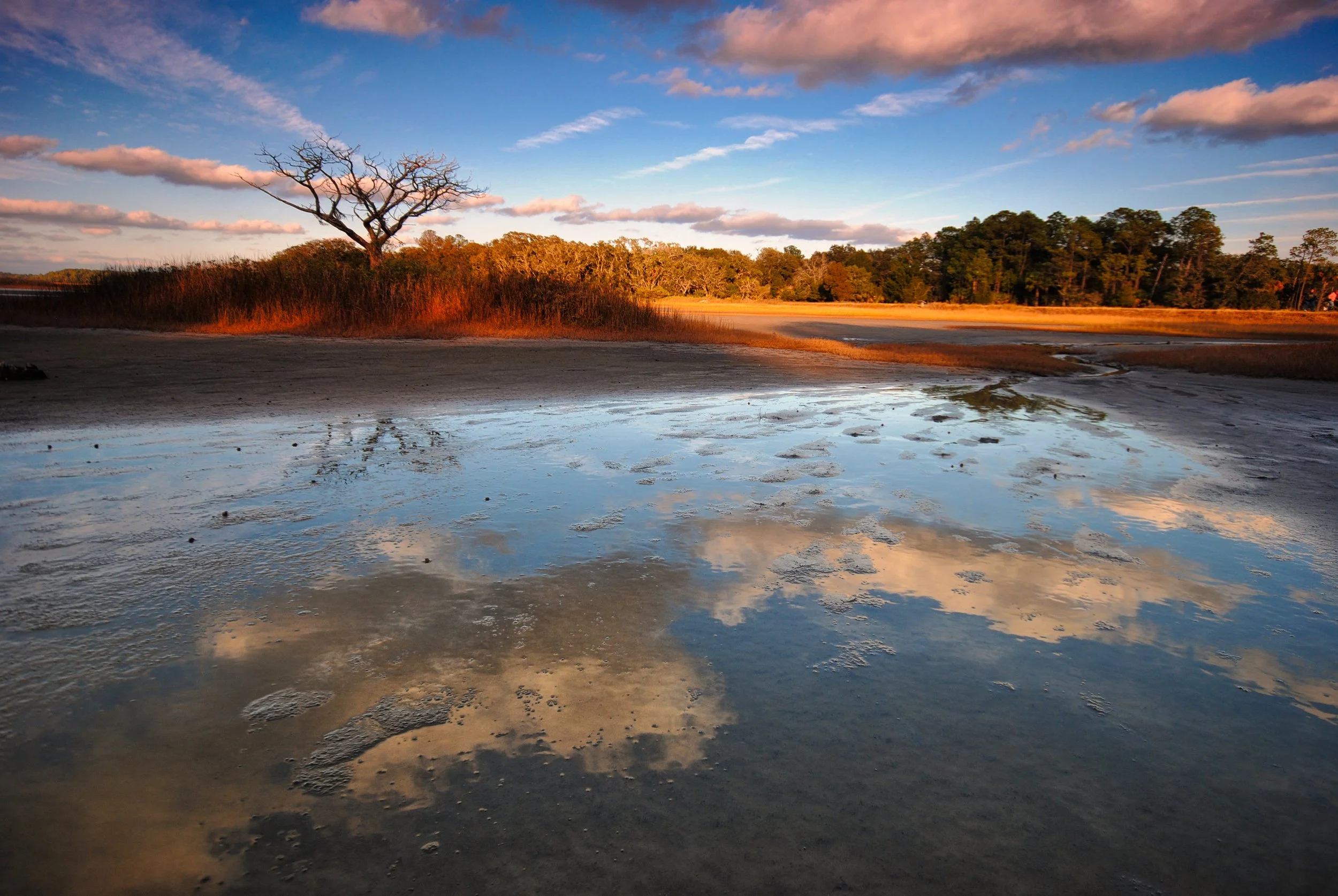 pickney_reflections_by_bawwomick_d5prn1t(1).jpg