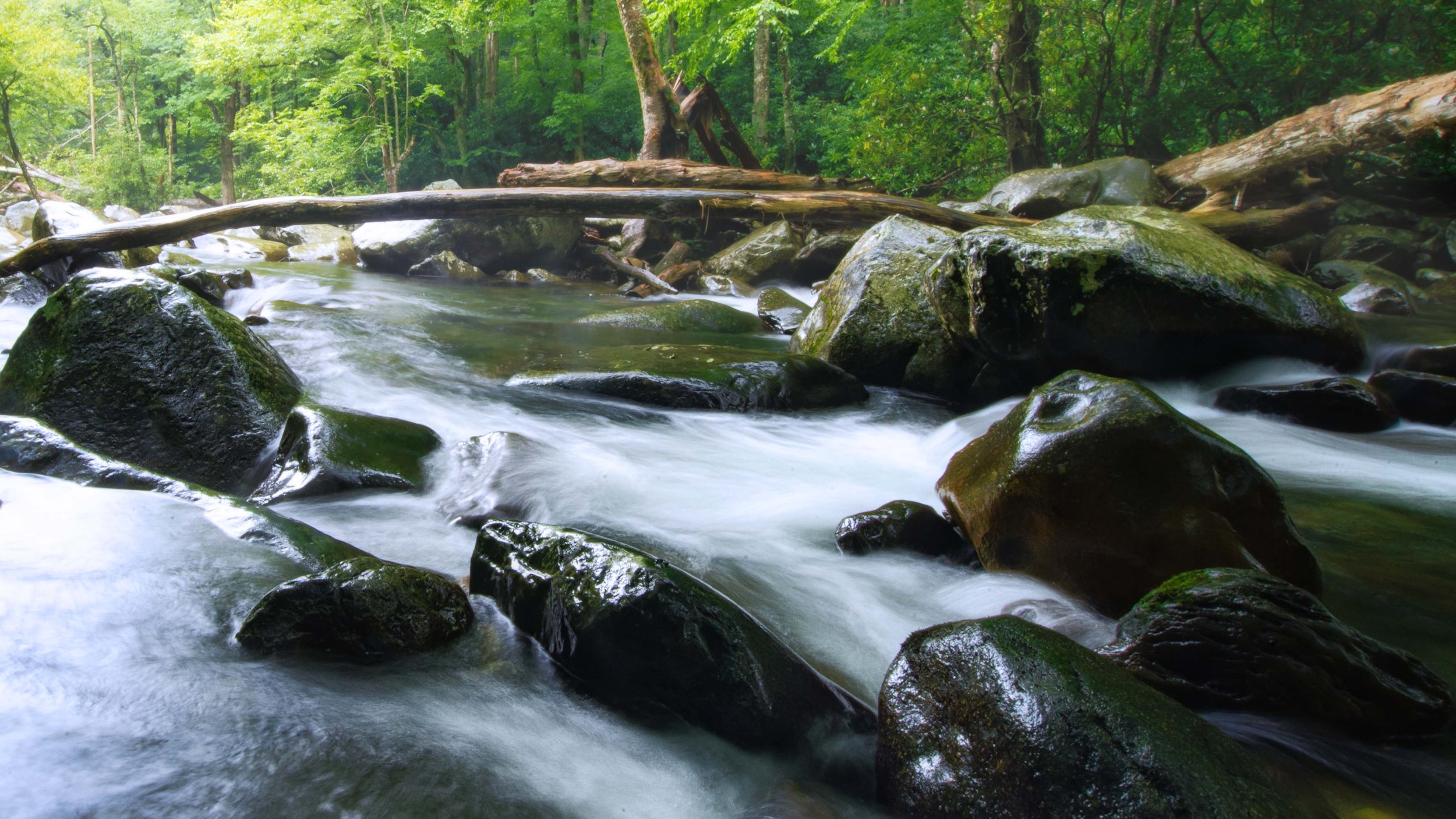 Moving Creek.jpg