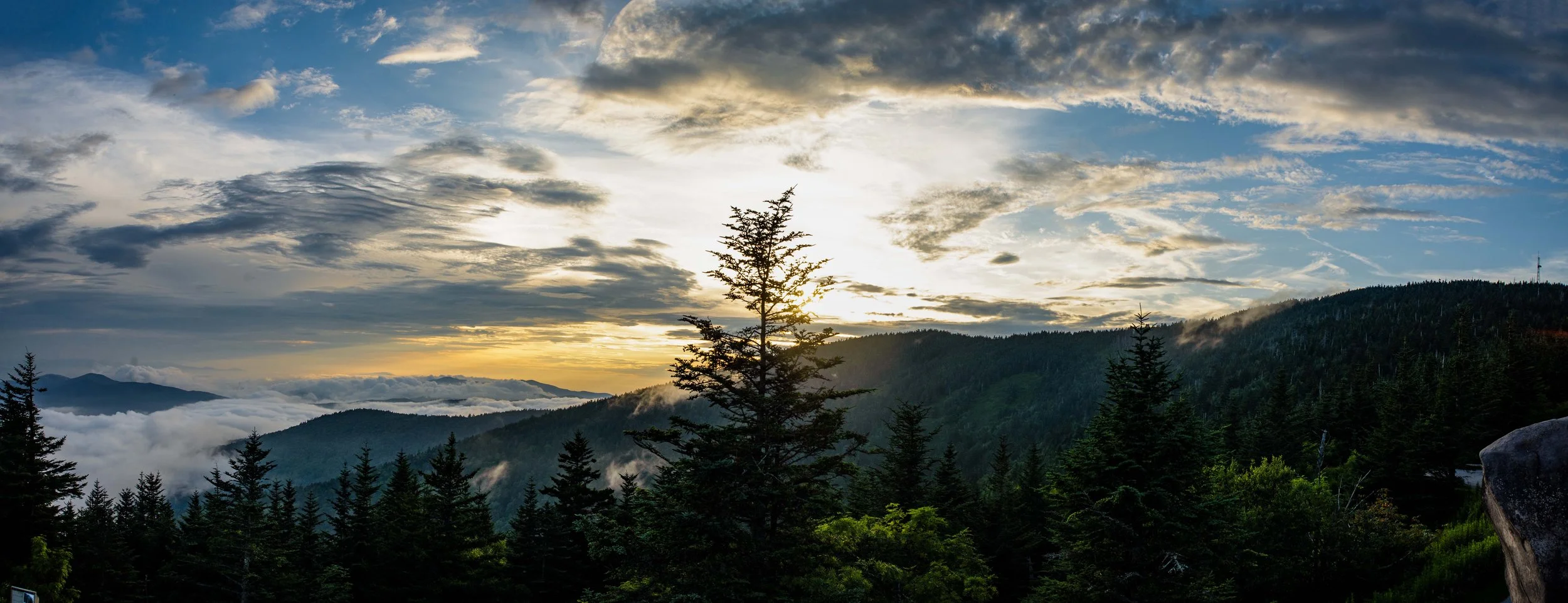 Sunset Behind Trees Kuwohi.jpg