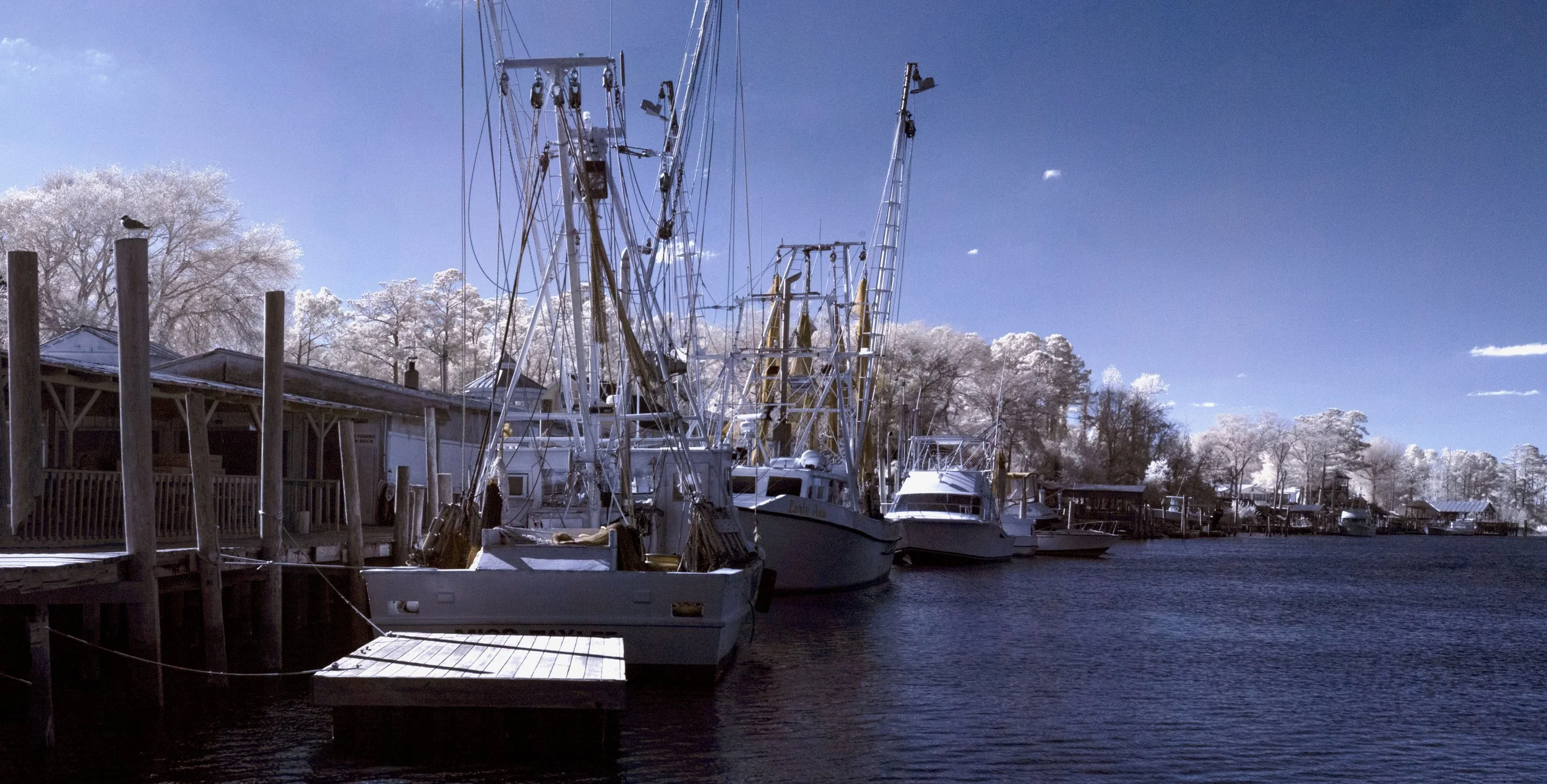 Shrimping Dock copy.jpg