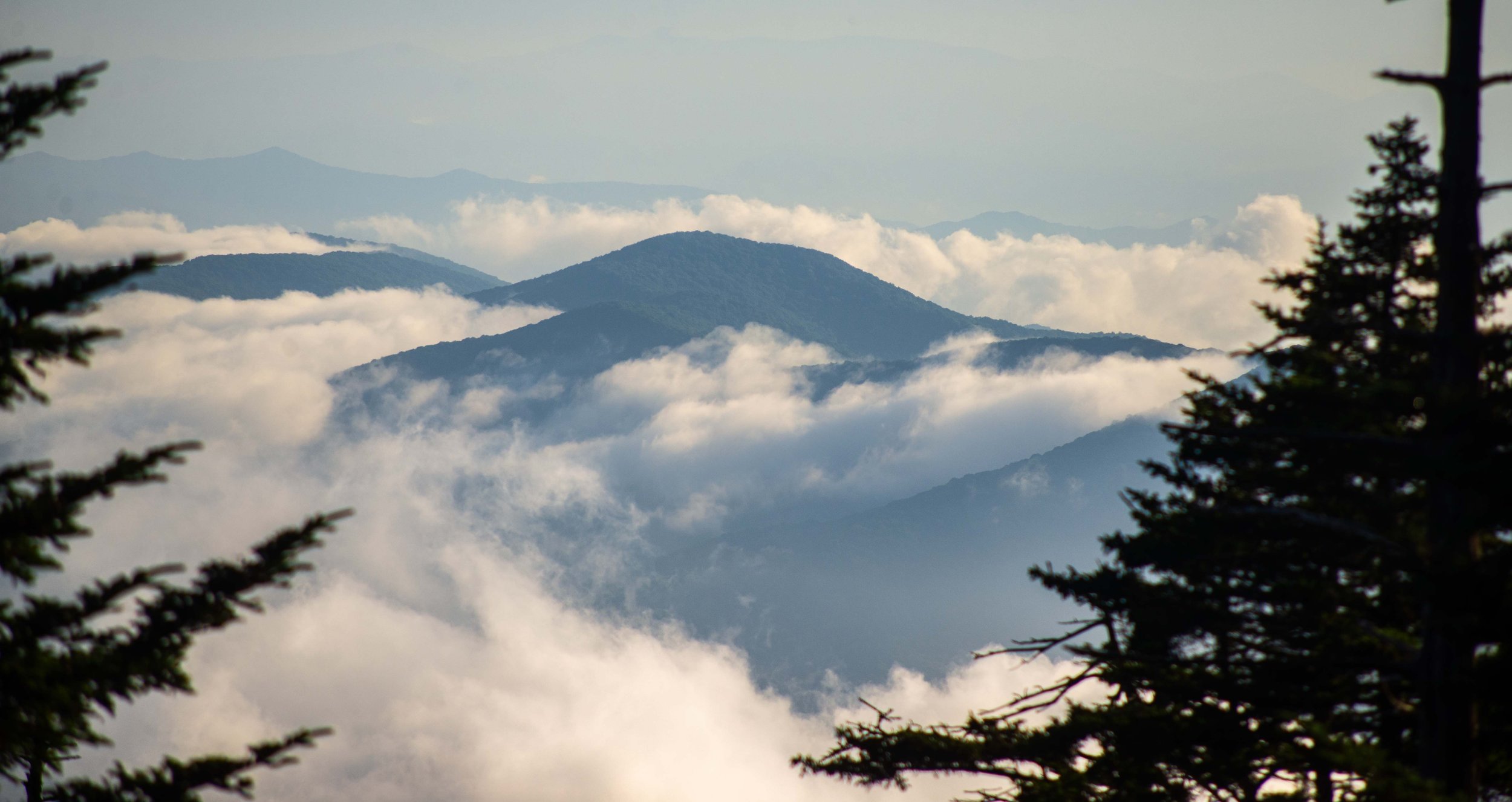Rolling Fog.jpg