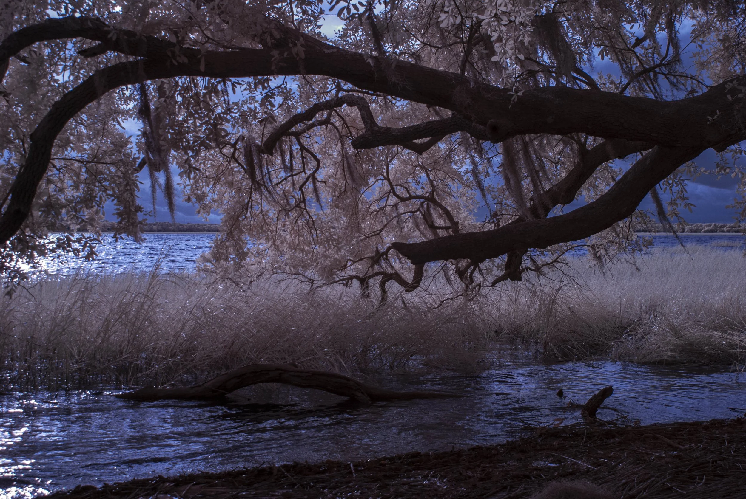 DSC_0094.jpg